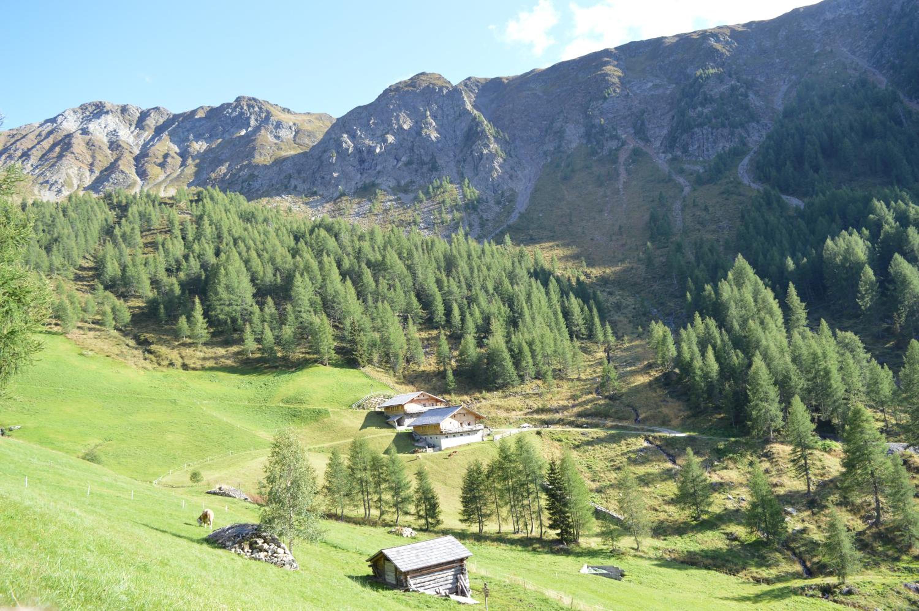 Feldererhof Apt Dolomitenblick