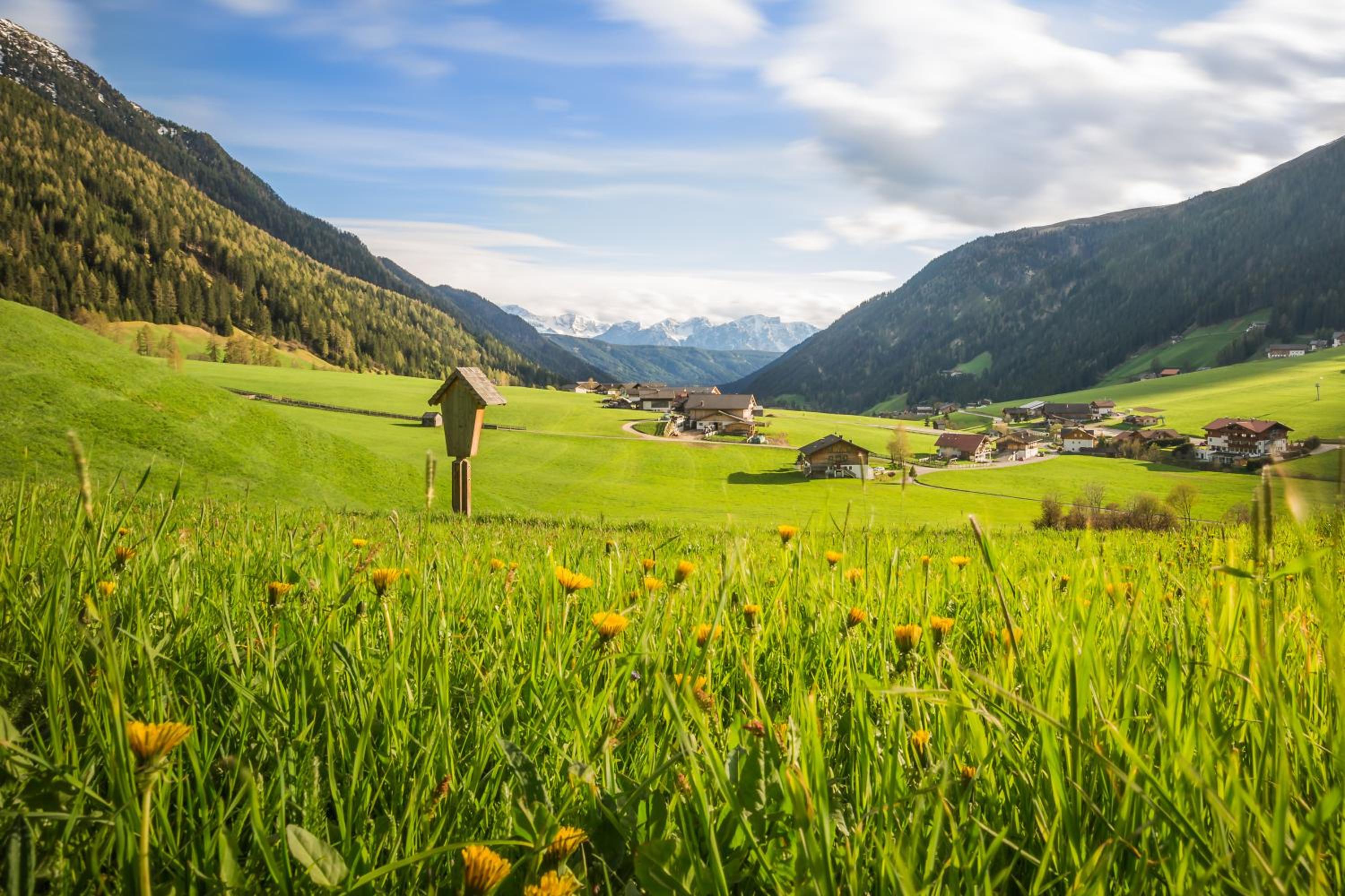 Feldererhof Apt Dolomitenblick photo 5