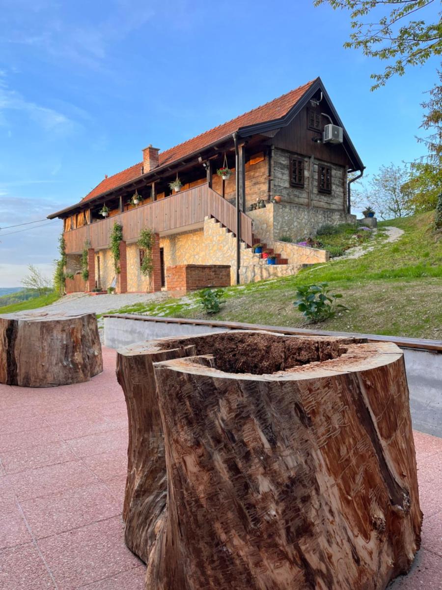 Vila Countryhouse Pijevci view 3