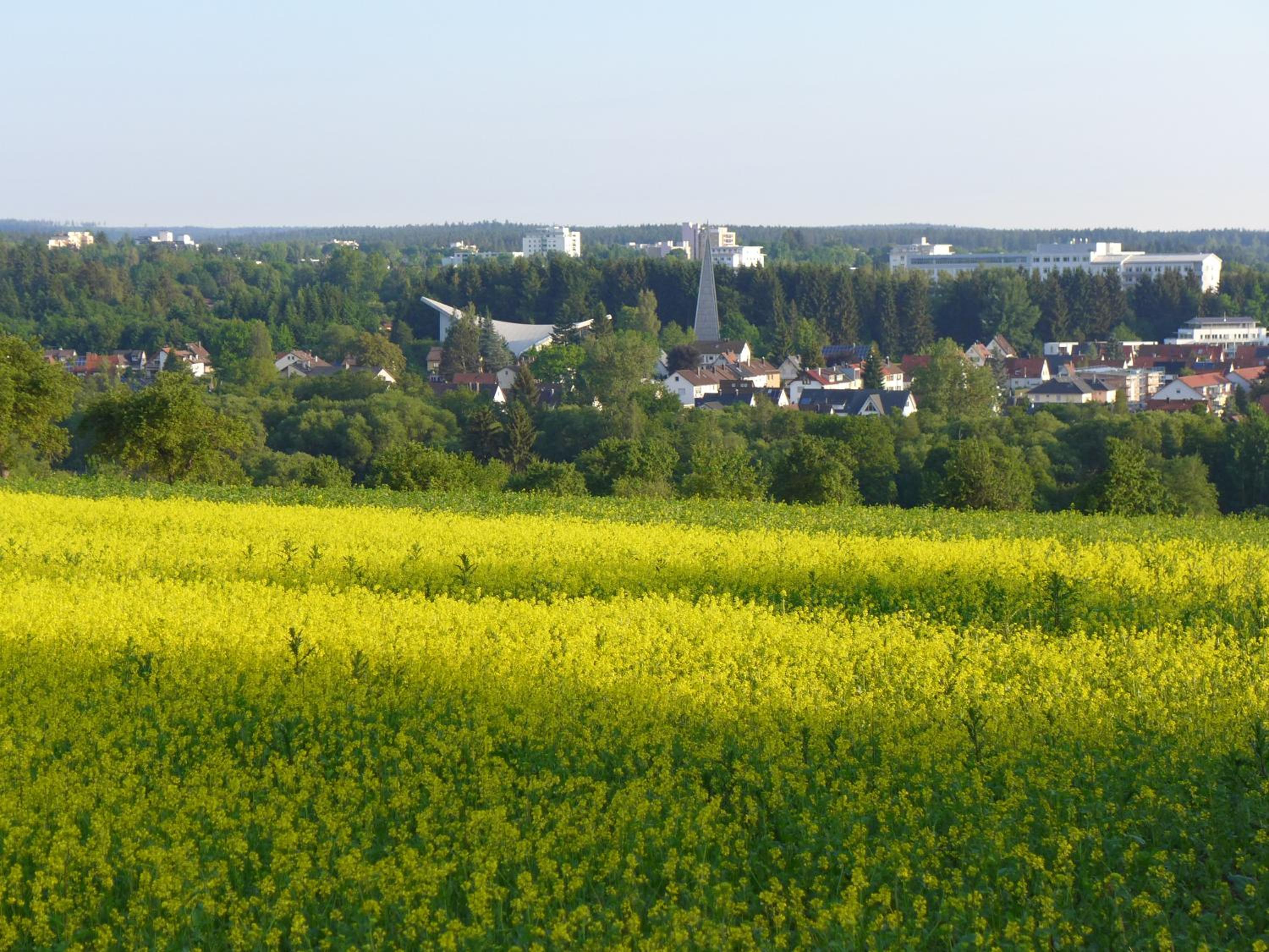 Petras Ferienwohnung