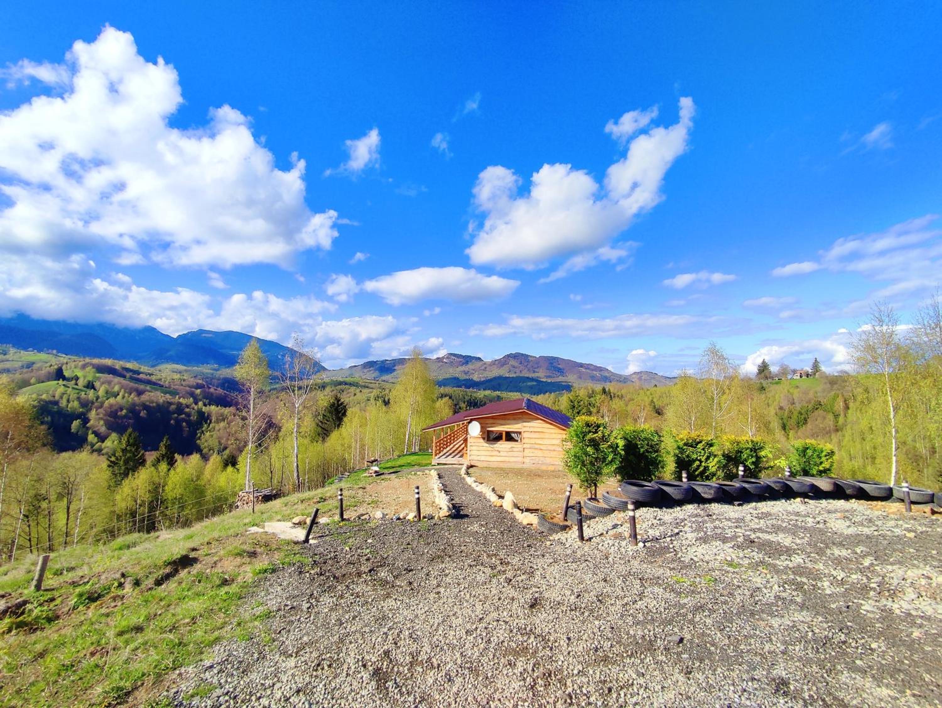 Cabana doi mesteceni