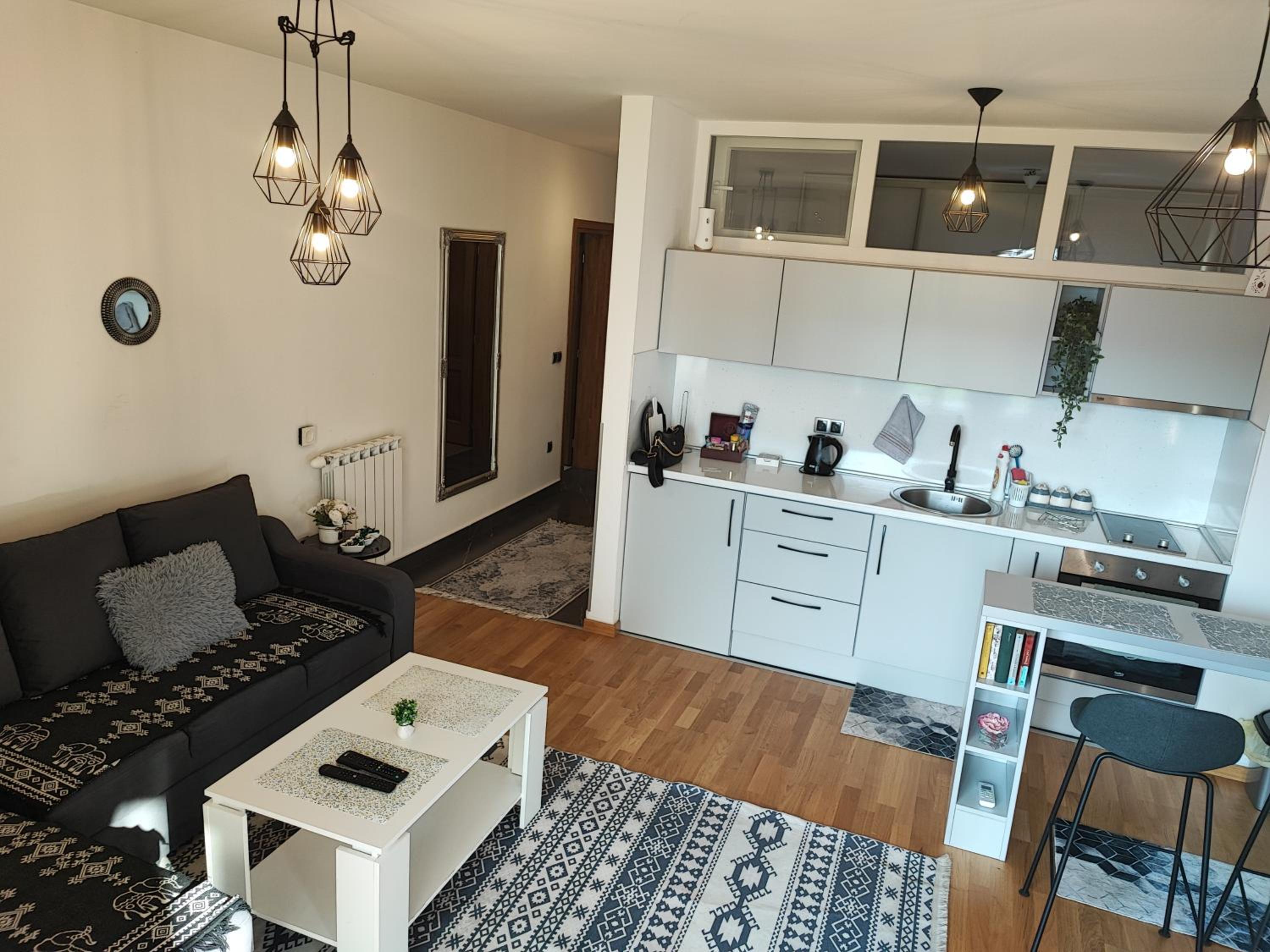 Bulevar apartment & Free Garage view 3