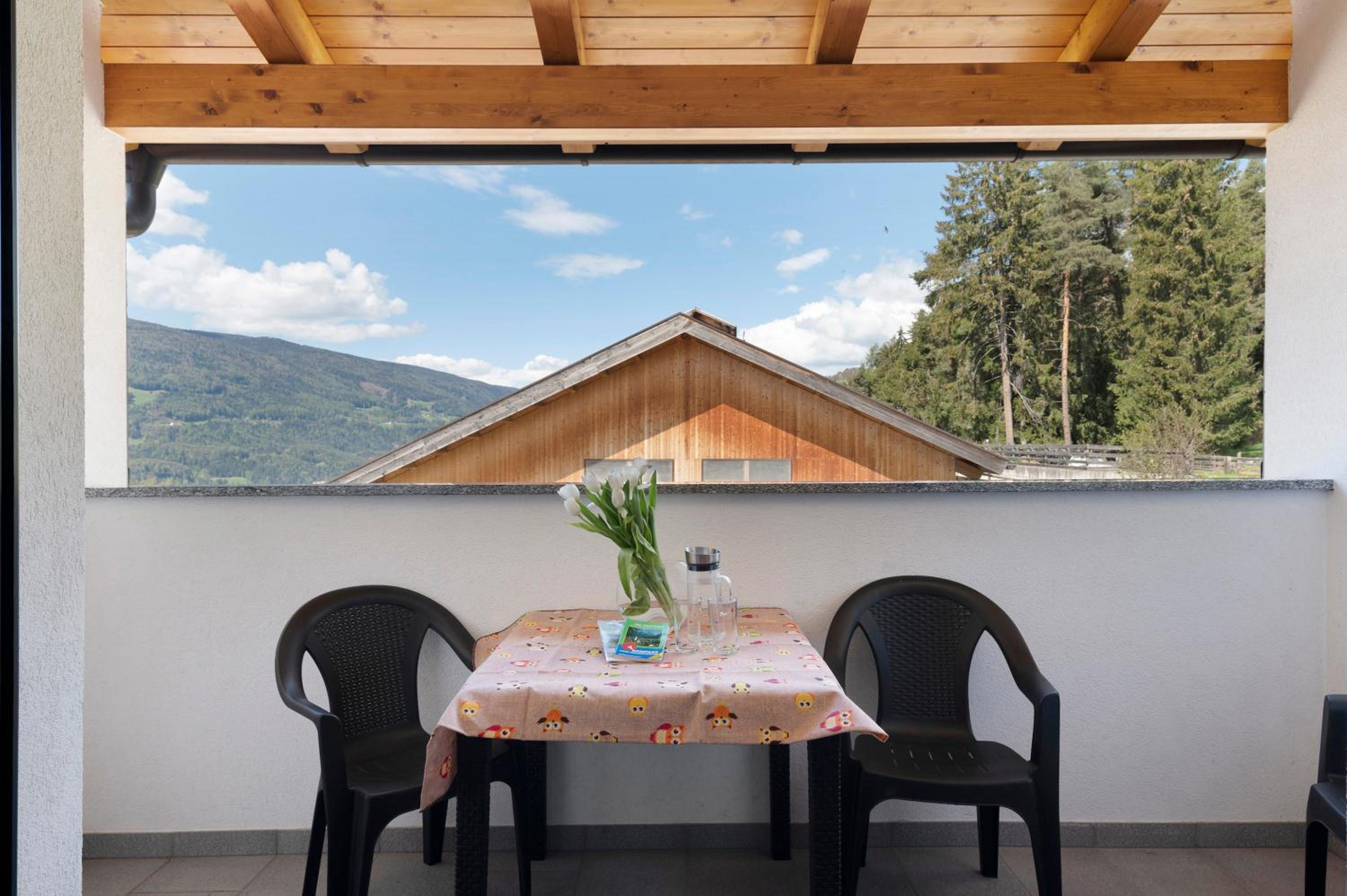 Stiflerhof Apt Edelweiss view 3