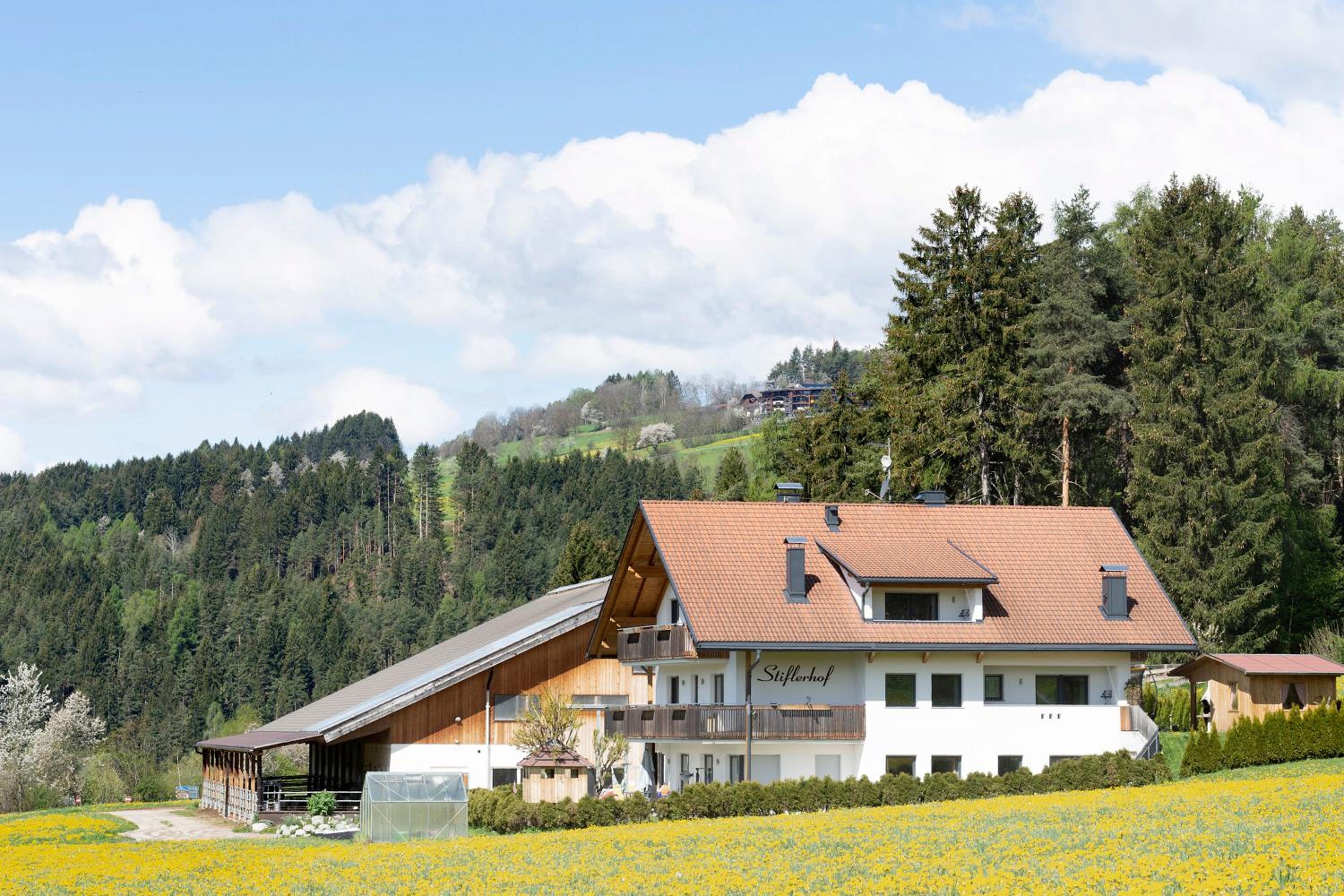 Stiflerhof Apt Enzian