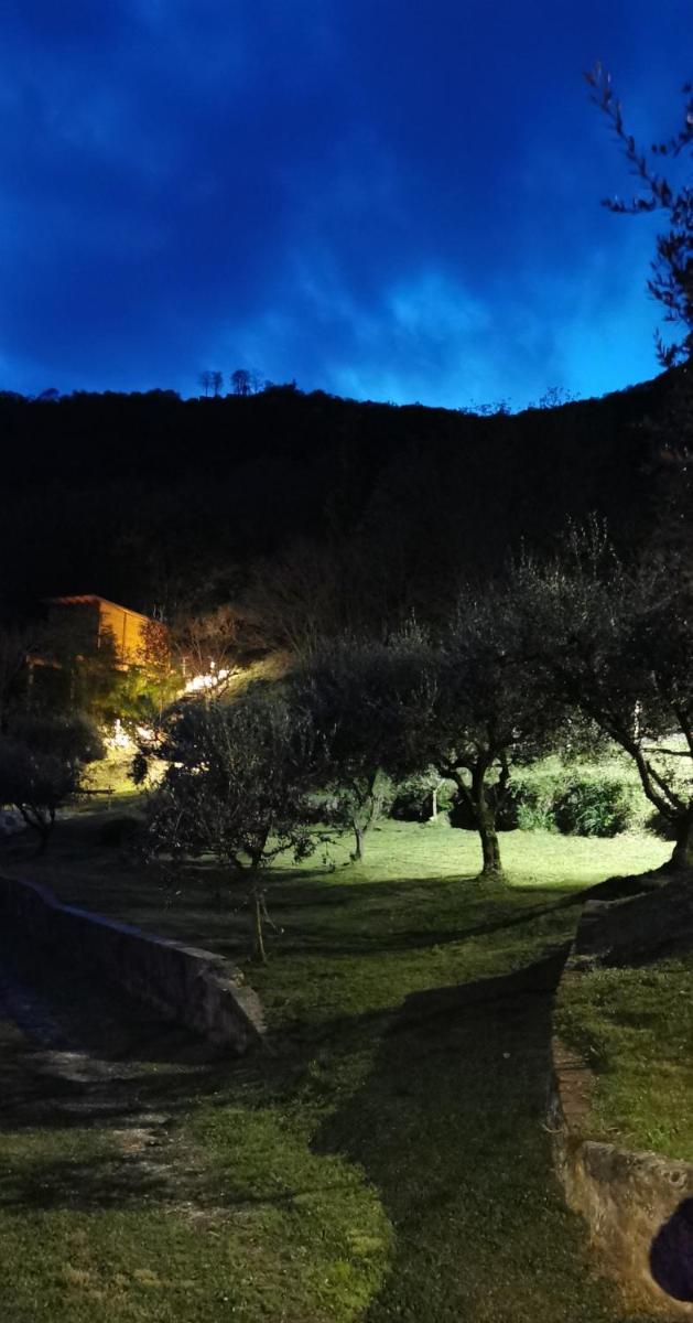 Tree House San Giorgio view 2