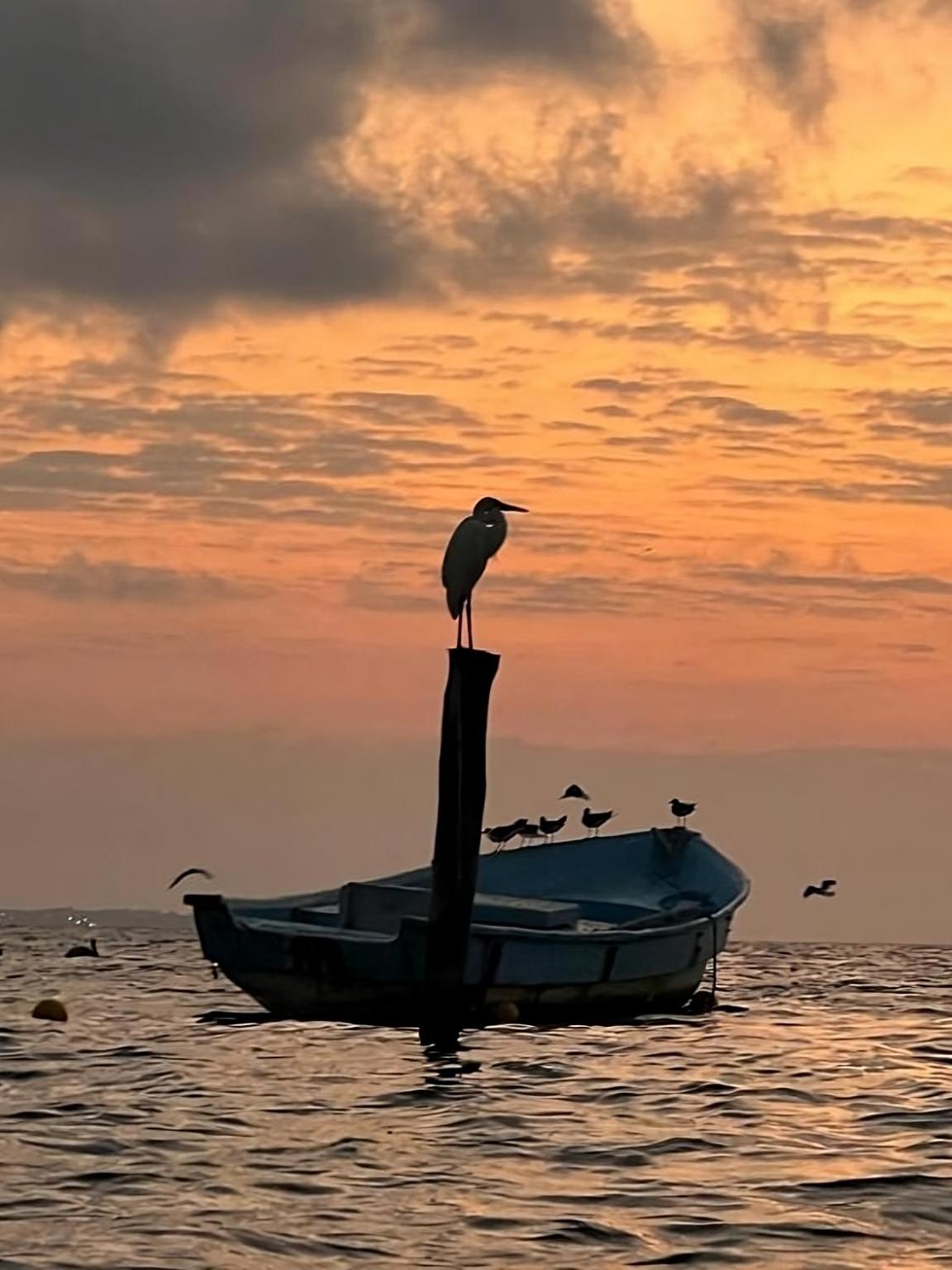 Tu Casa en el Caribe