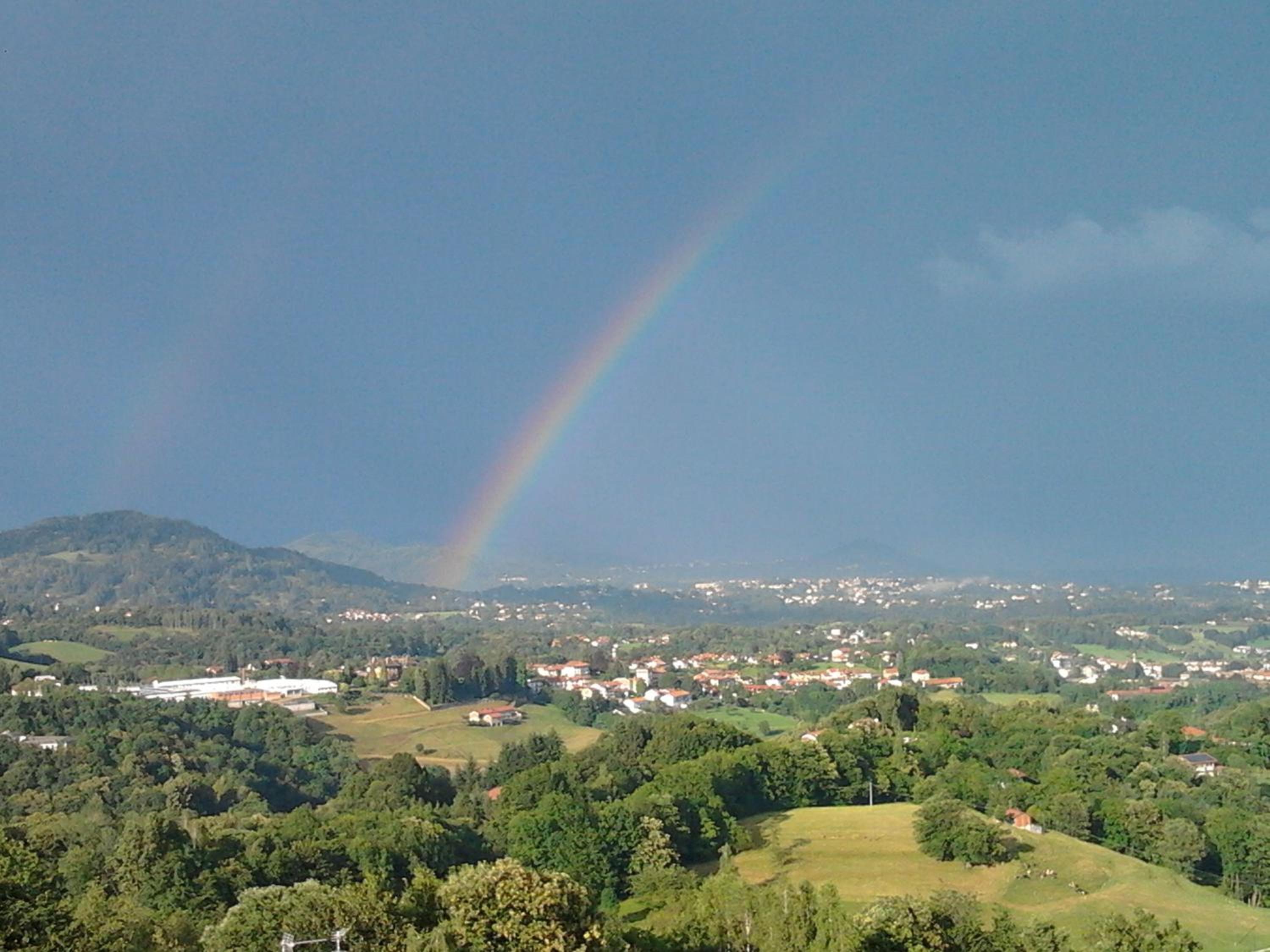 La Betulla