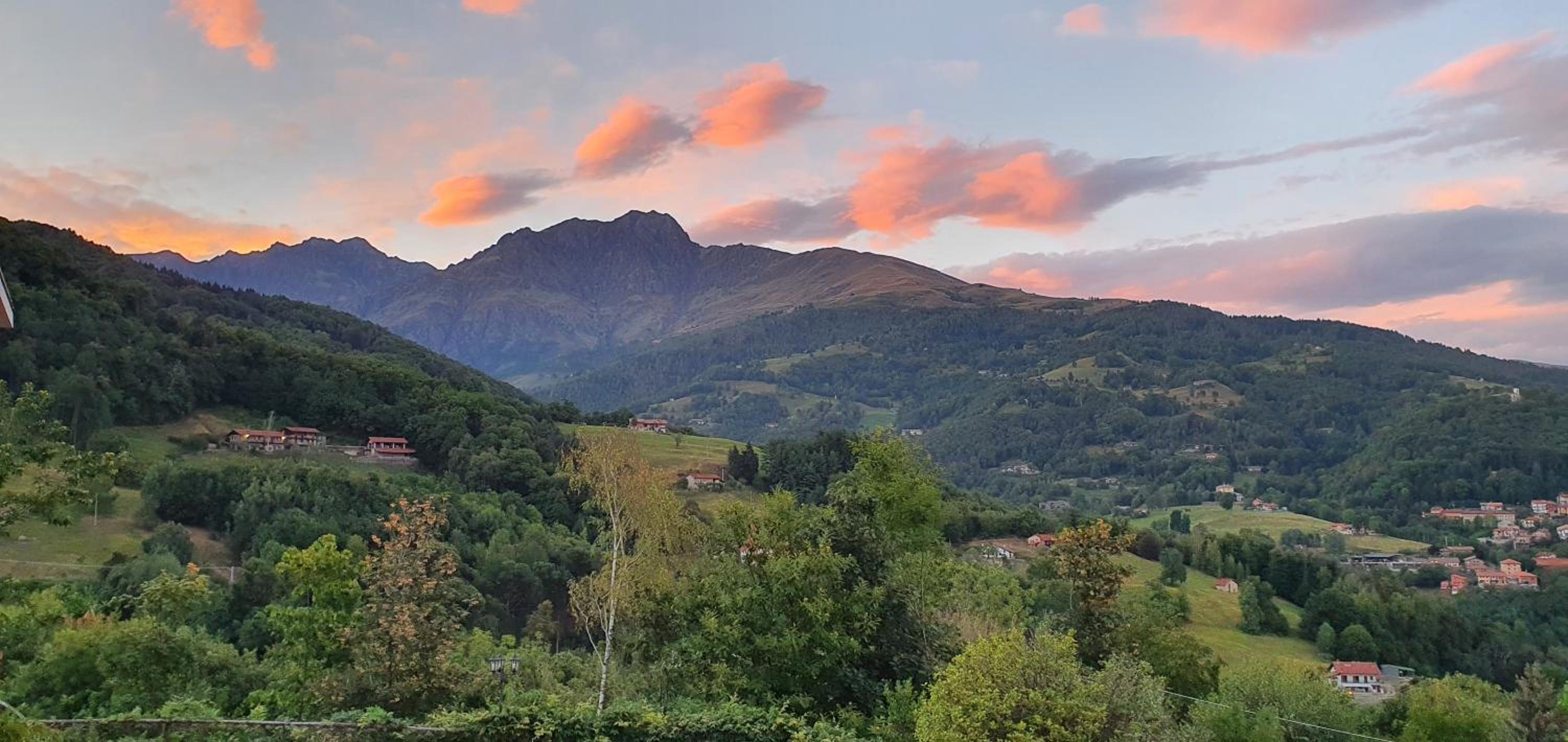 La Betulla