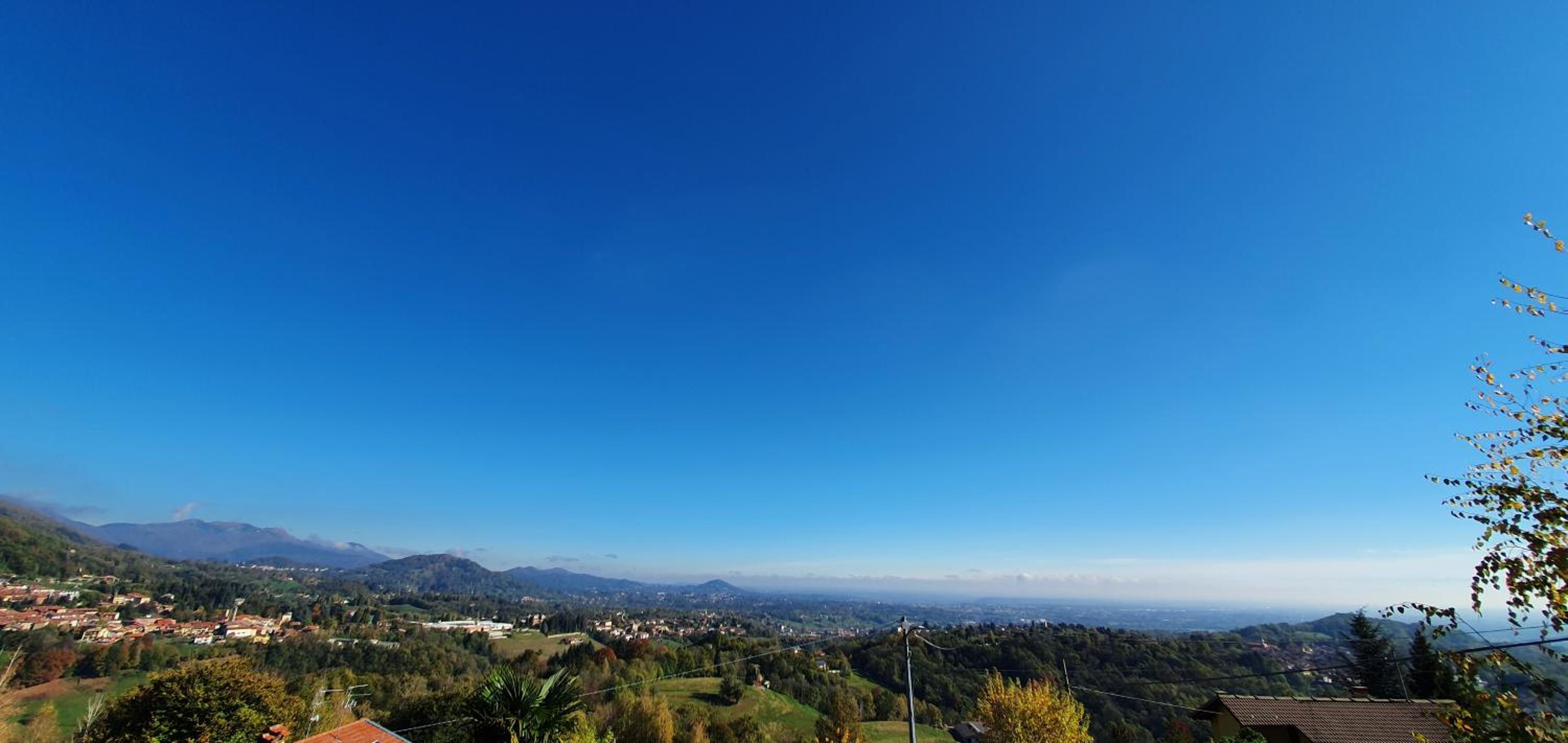 La Betulla