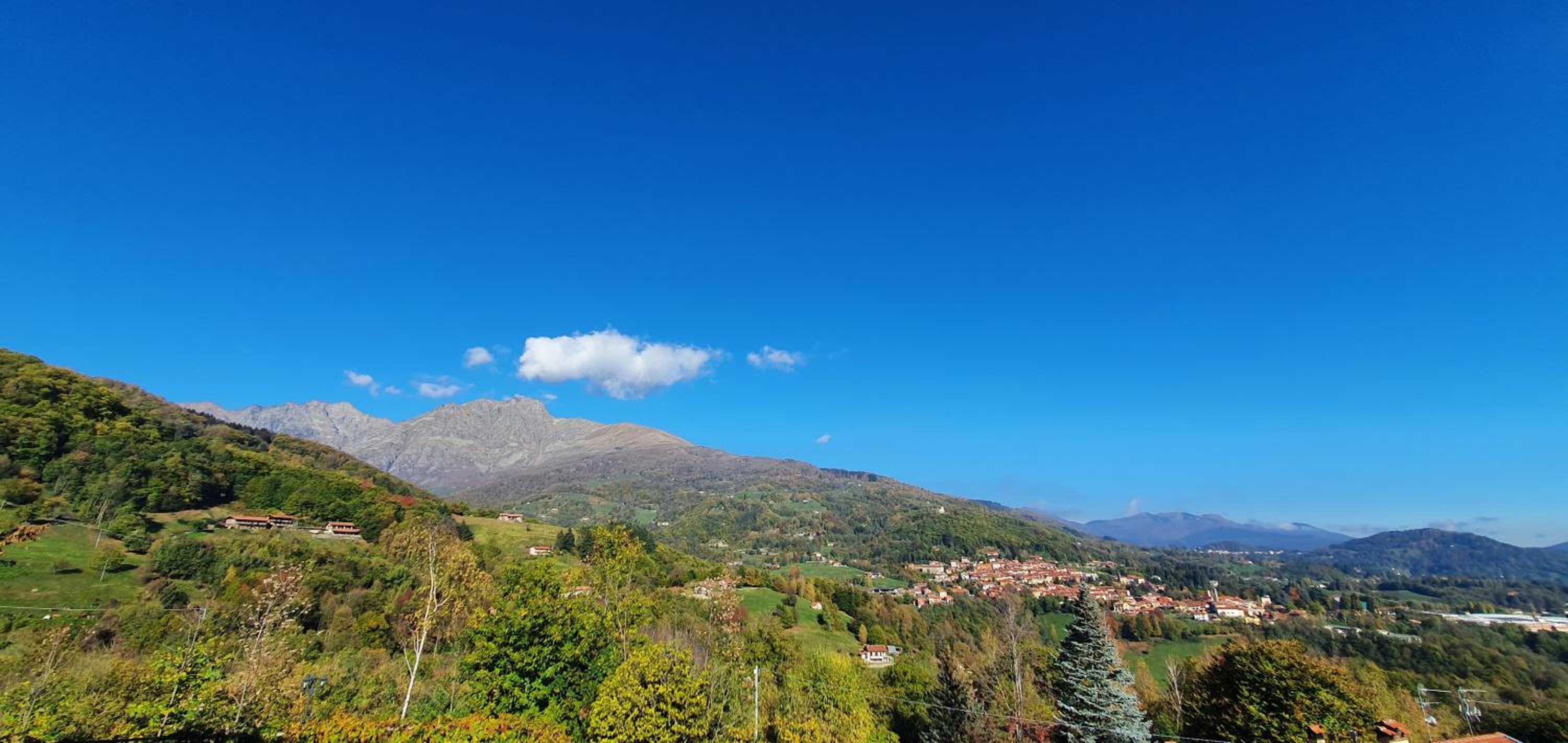 La Betulla