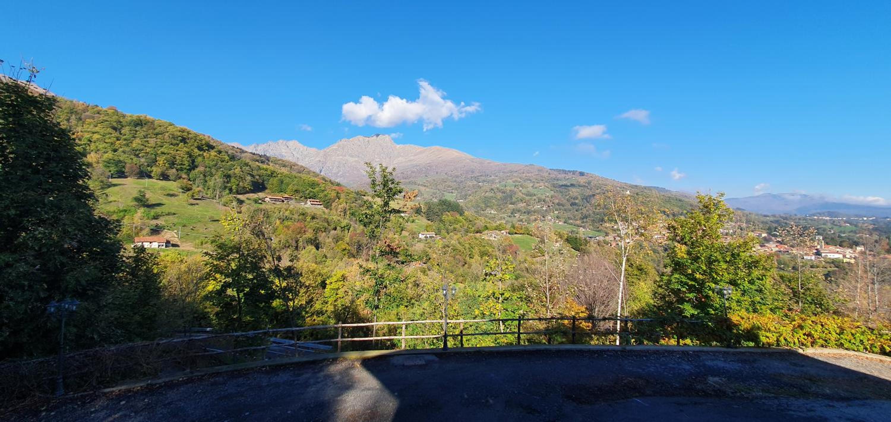 La Betulla