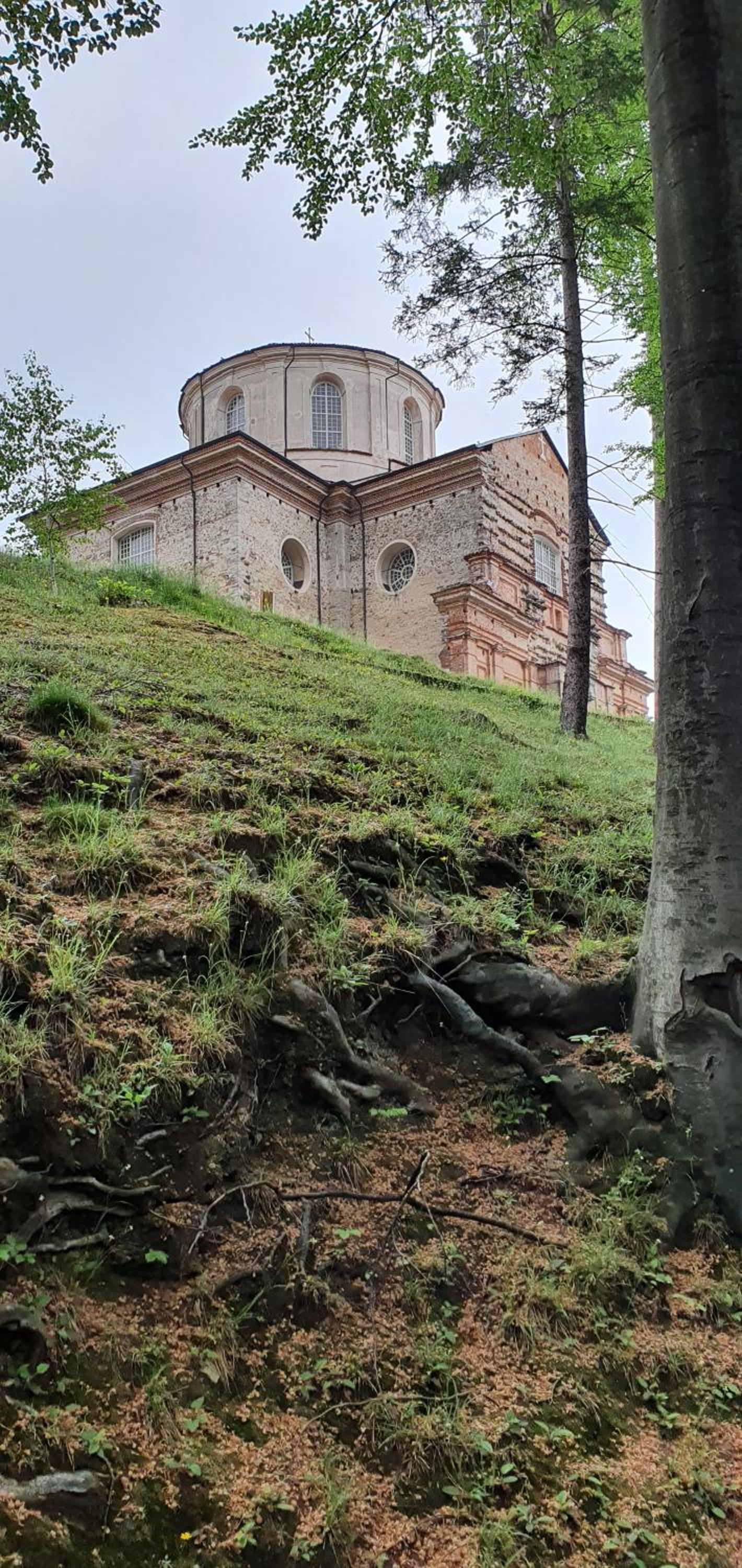 La Betulla