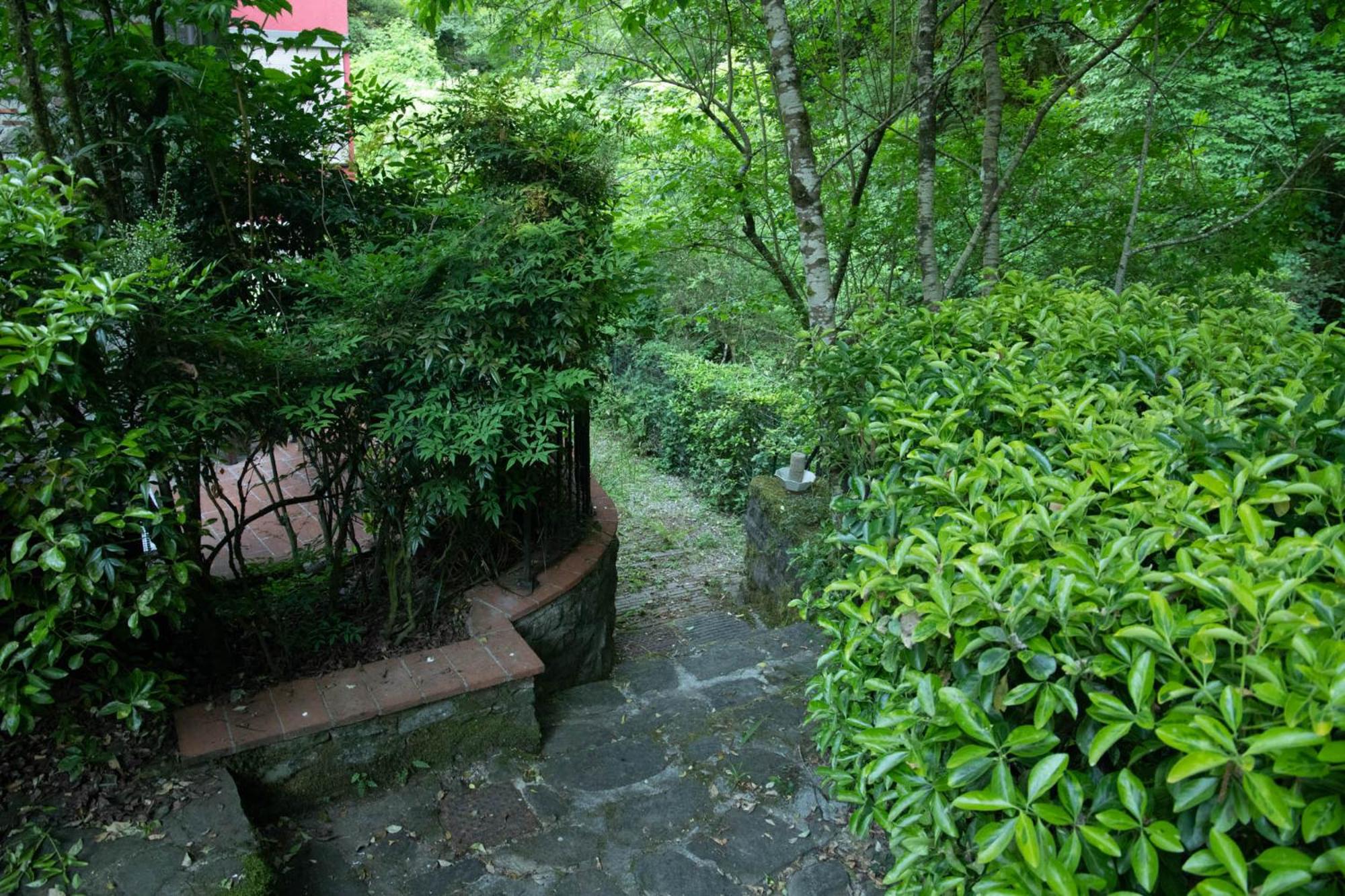 Photo 44