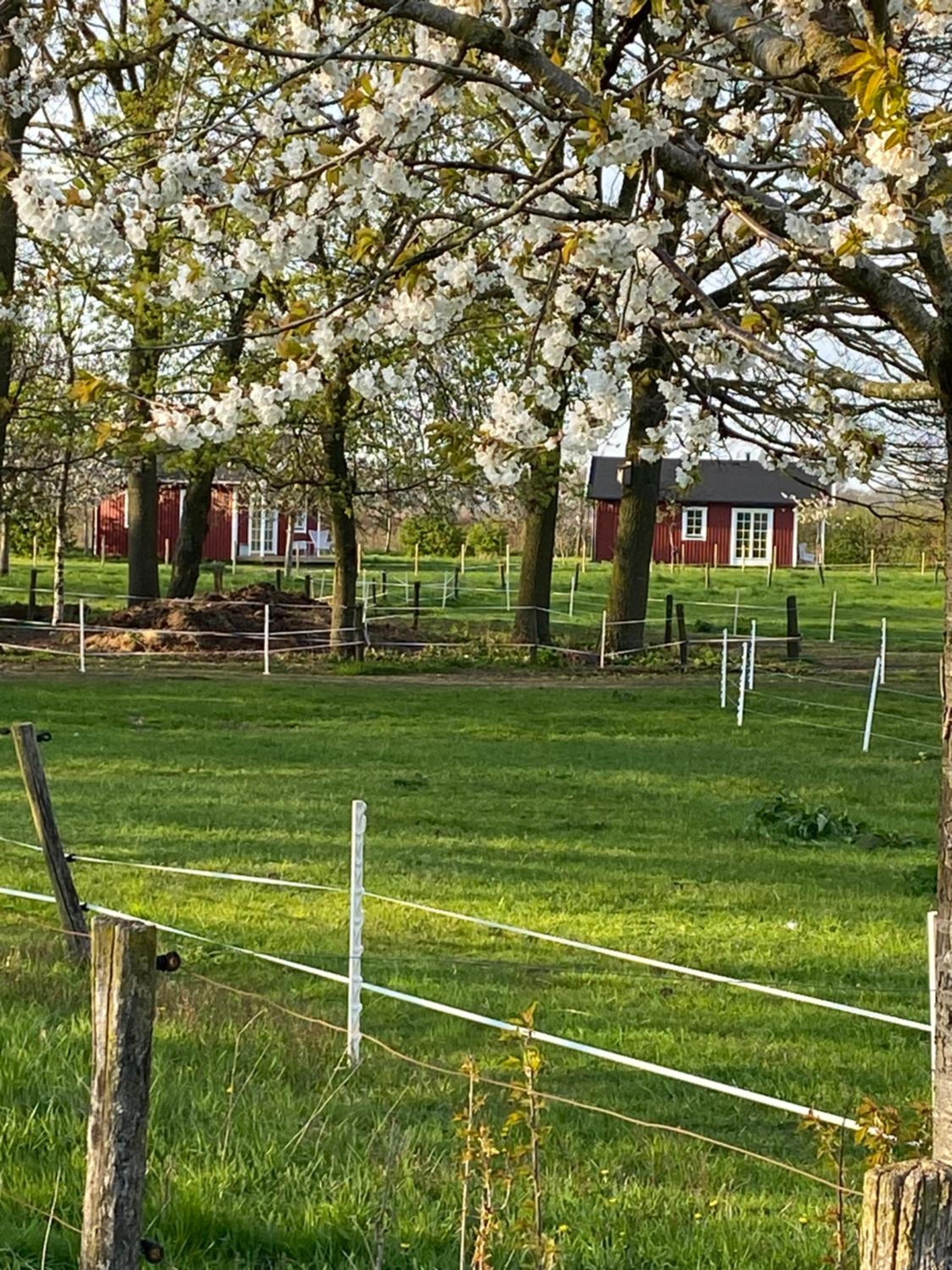 De Heeren Hoeve Carpe Diem view 3
