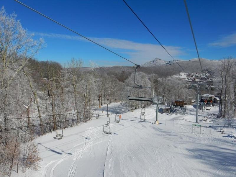 Tree Top Lodge view 5