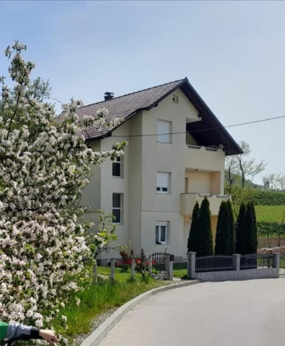 Apartman Bošnjak Ramsko jezero view 2