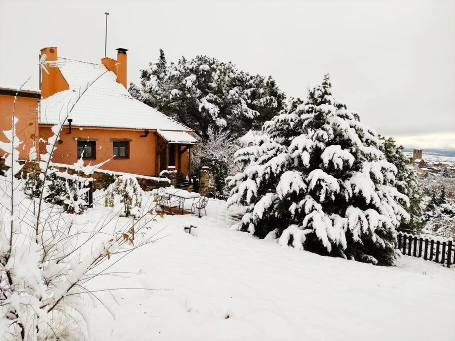 Photo 44
