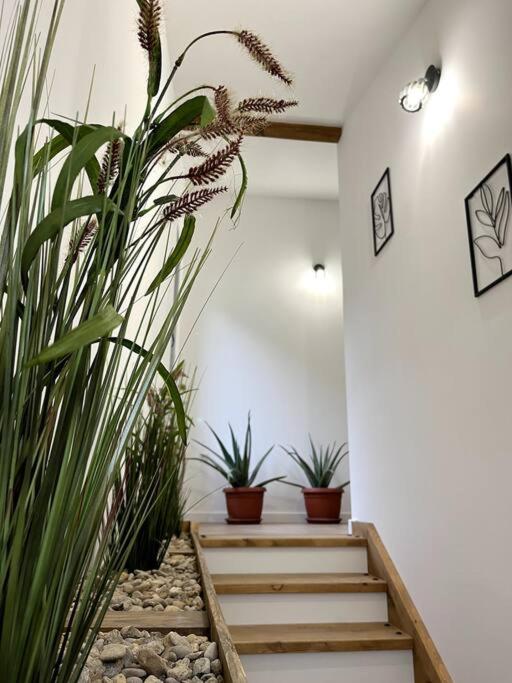 The Borum House