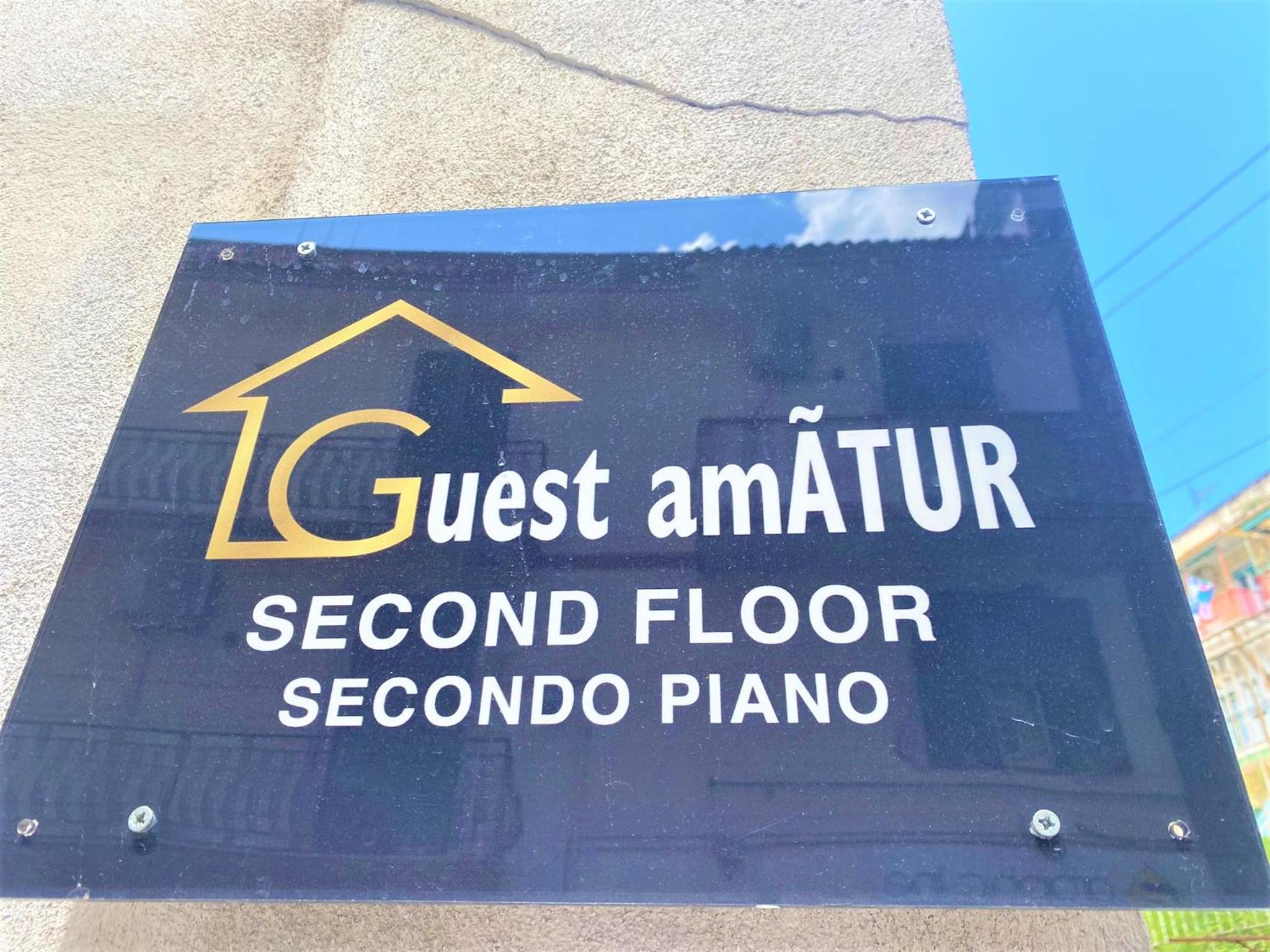 Guest Amatur view 3