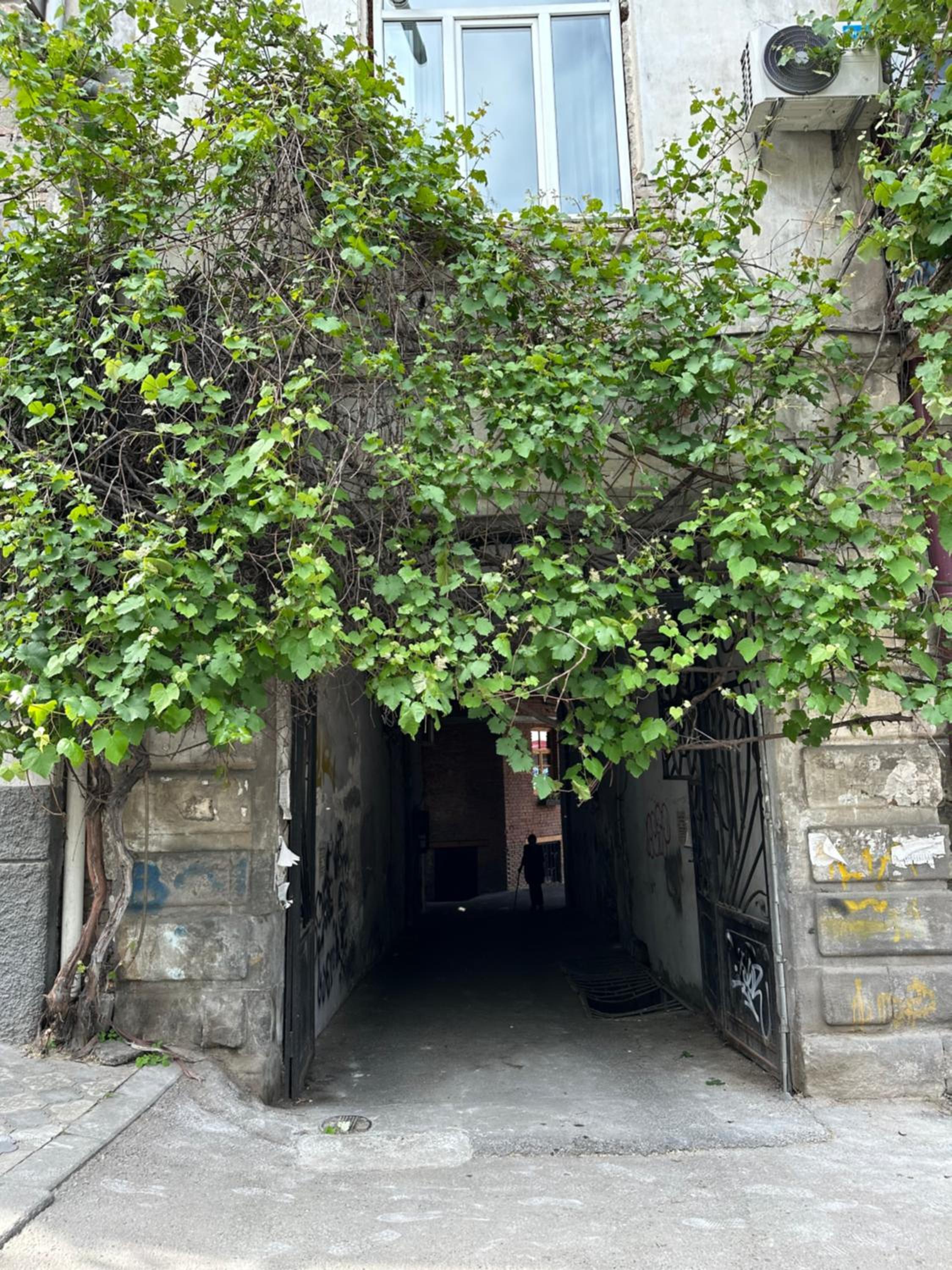Photo 27