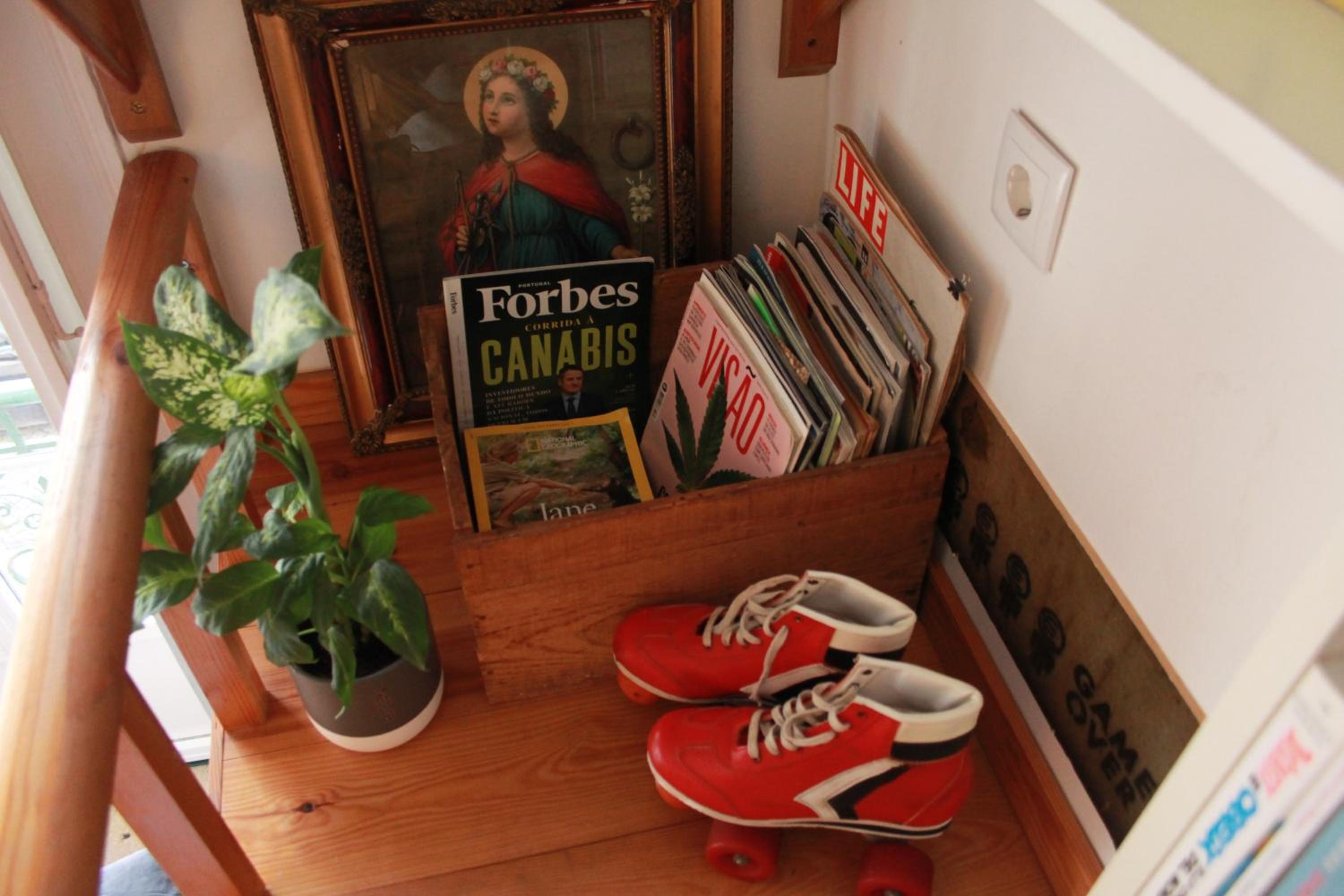 Photo 6
