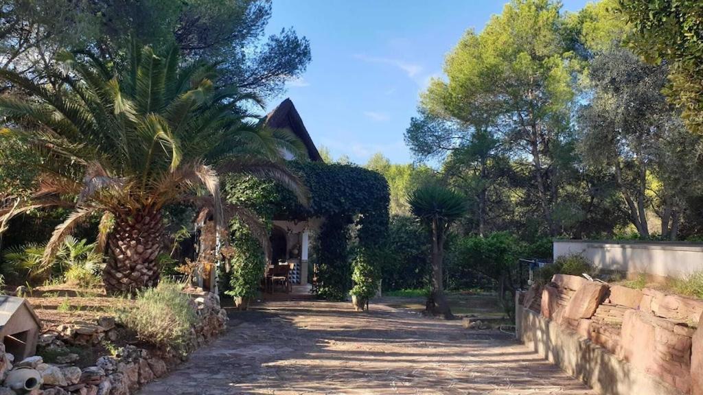 Casa Cosy