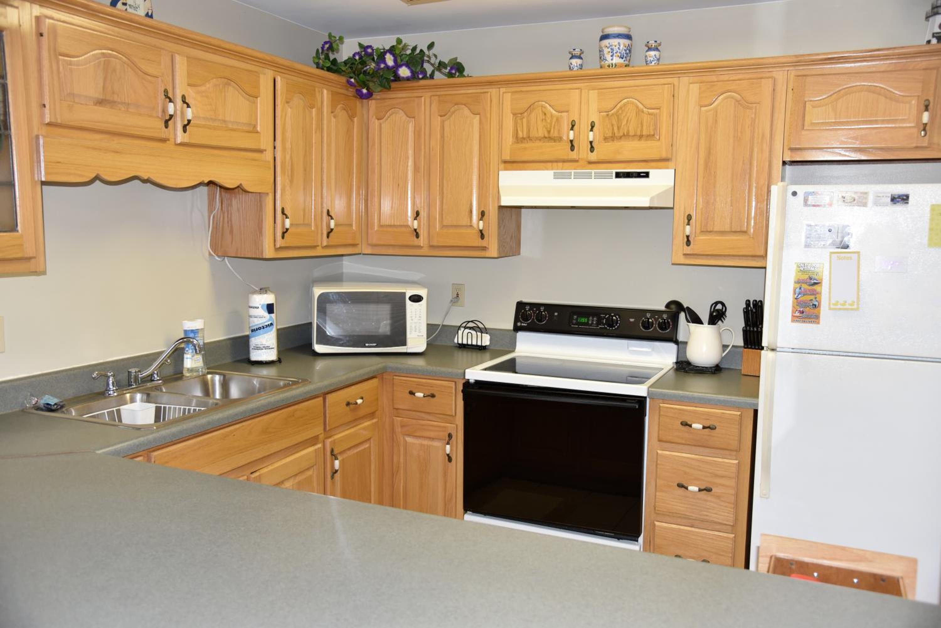 Photo 11