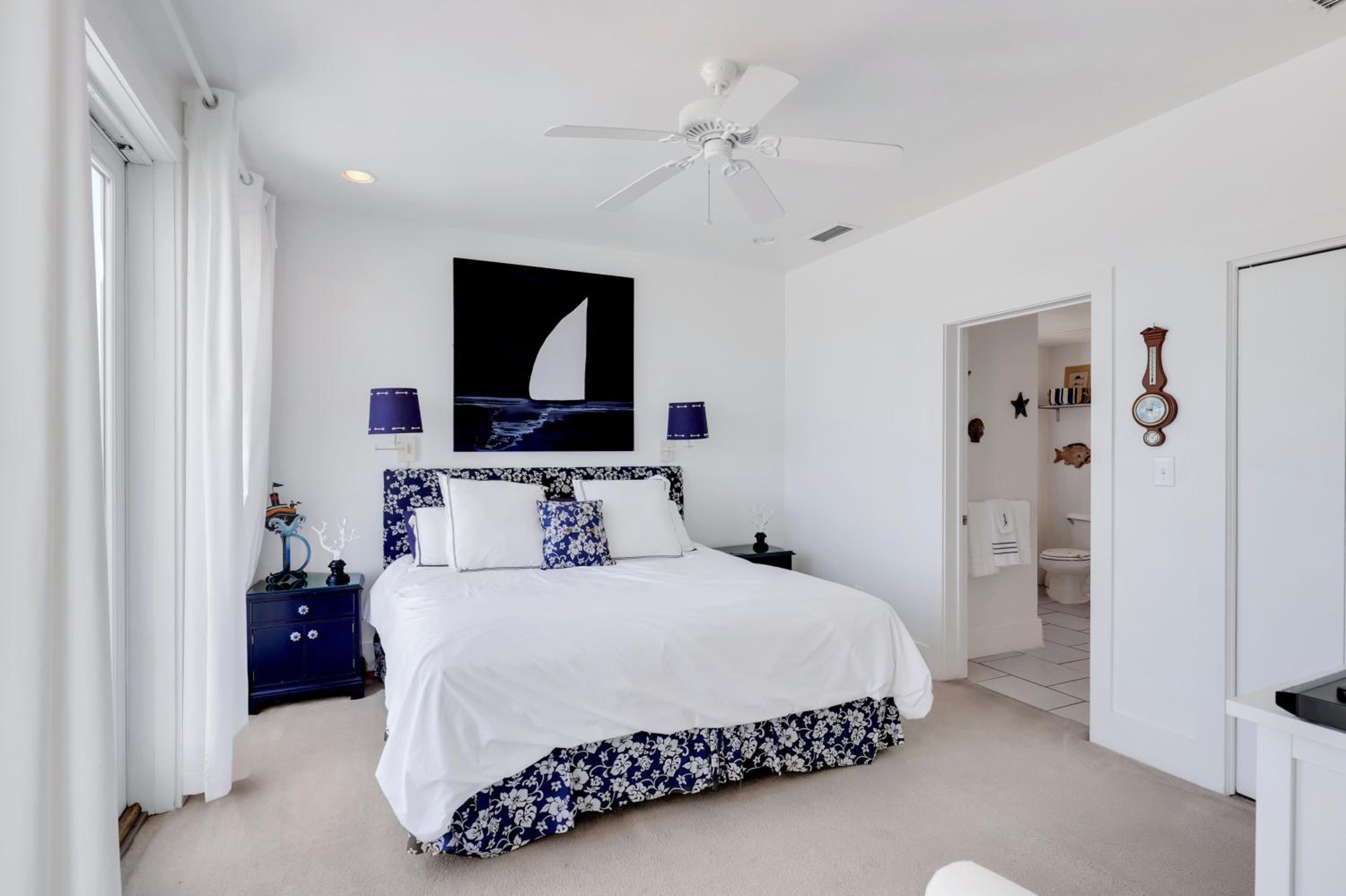 Sailfish