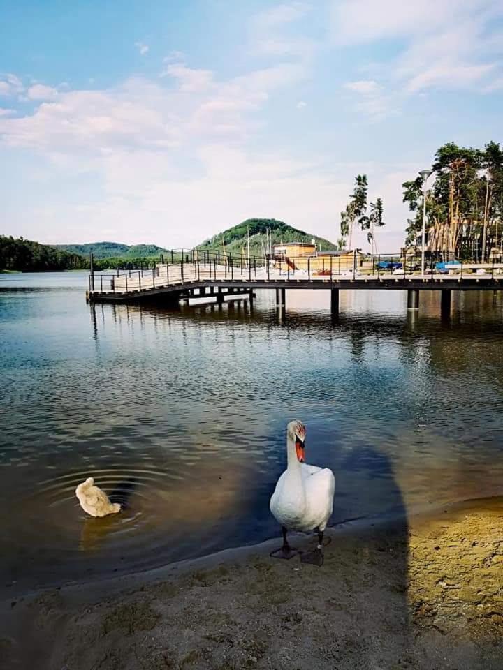 Máchovo jezero apartmán J&J