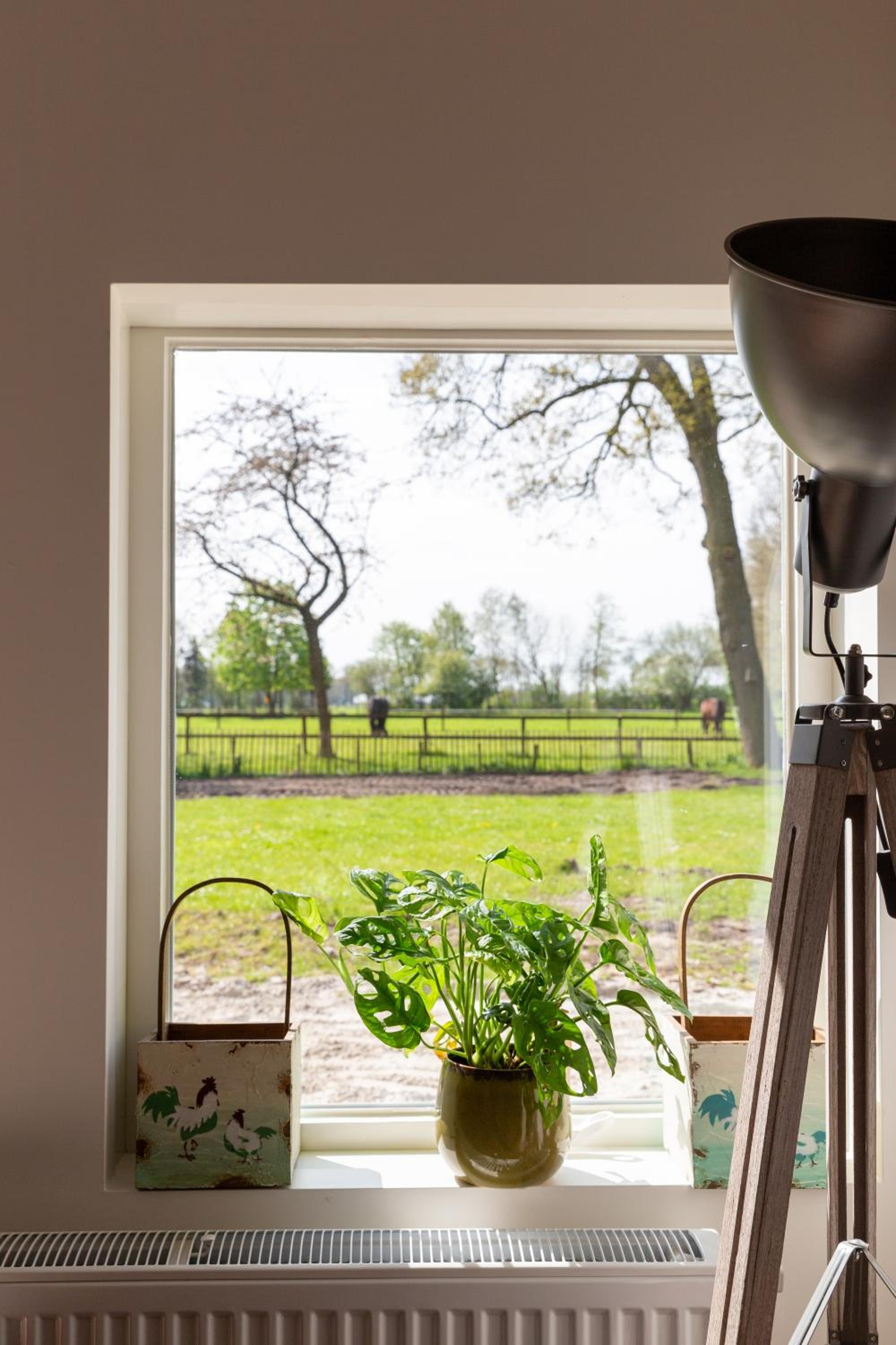 Logies-Spier - Property Image 40