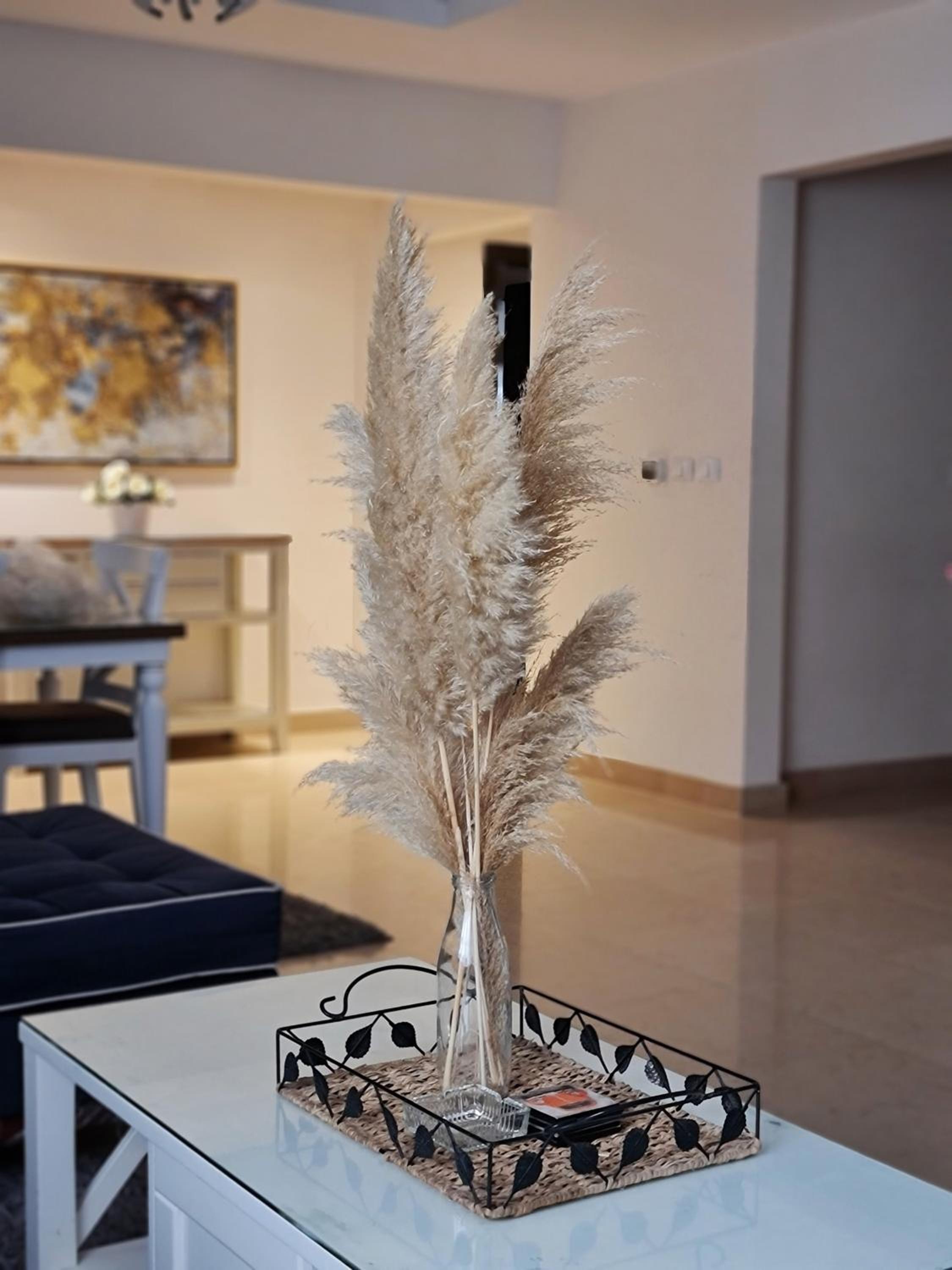 Axxodia Cairo Festival Residence