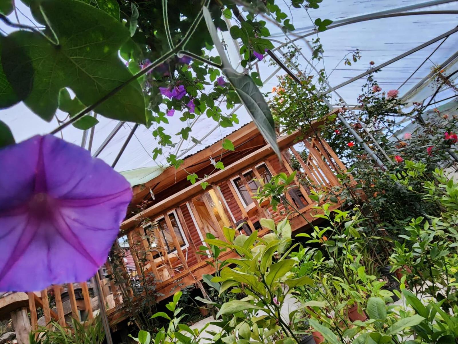 Cabaña el Faisán, Jardín de Dota