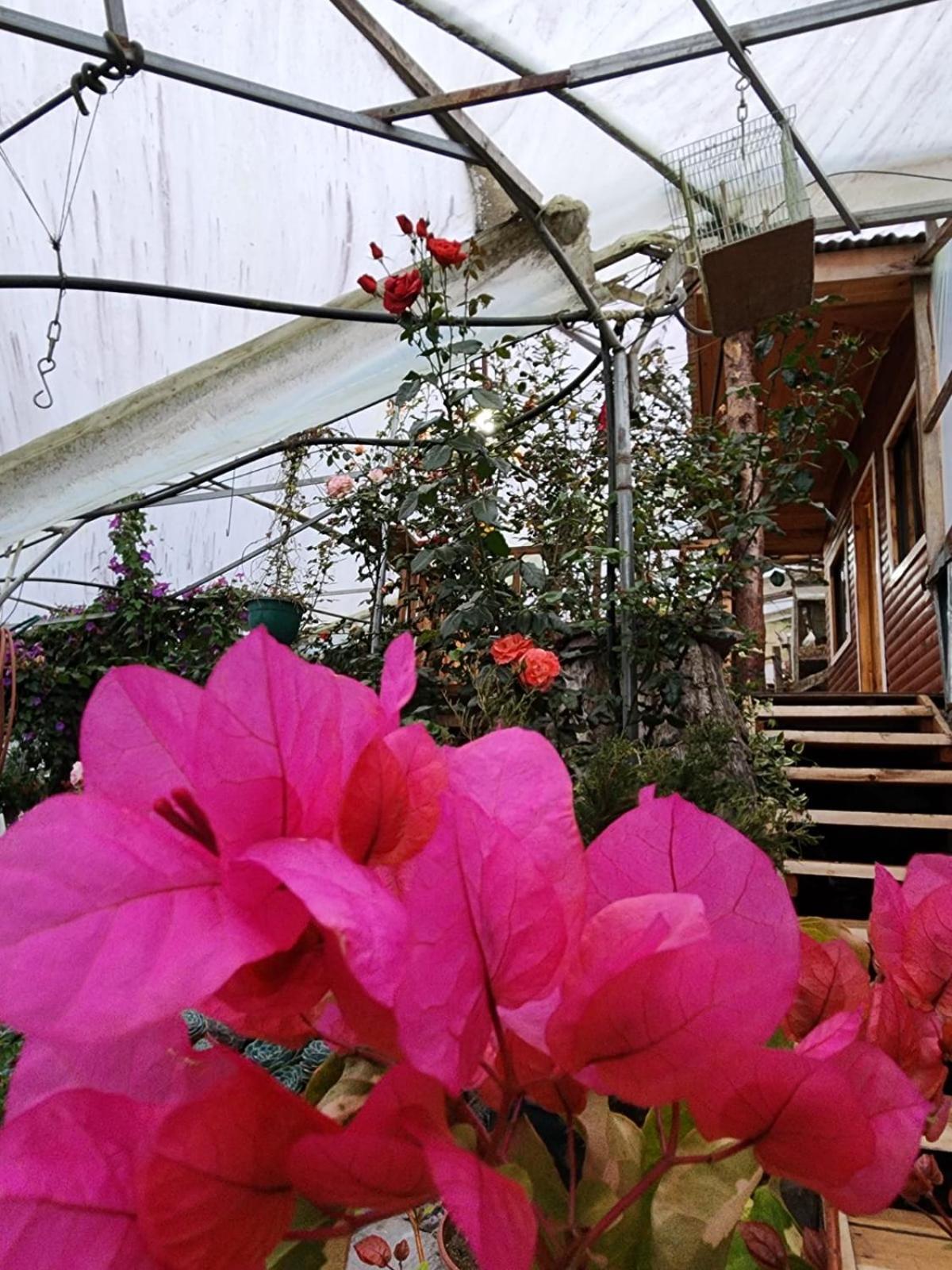 Cabaña el Faisán, Jardín de Dota