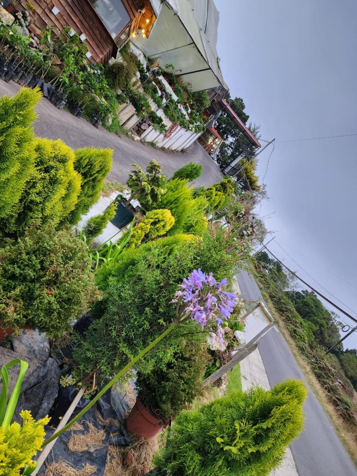Cabaña el Faisán, Jardín de Dota