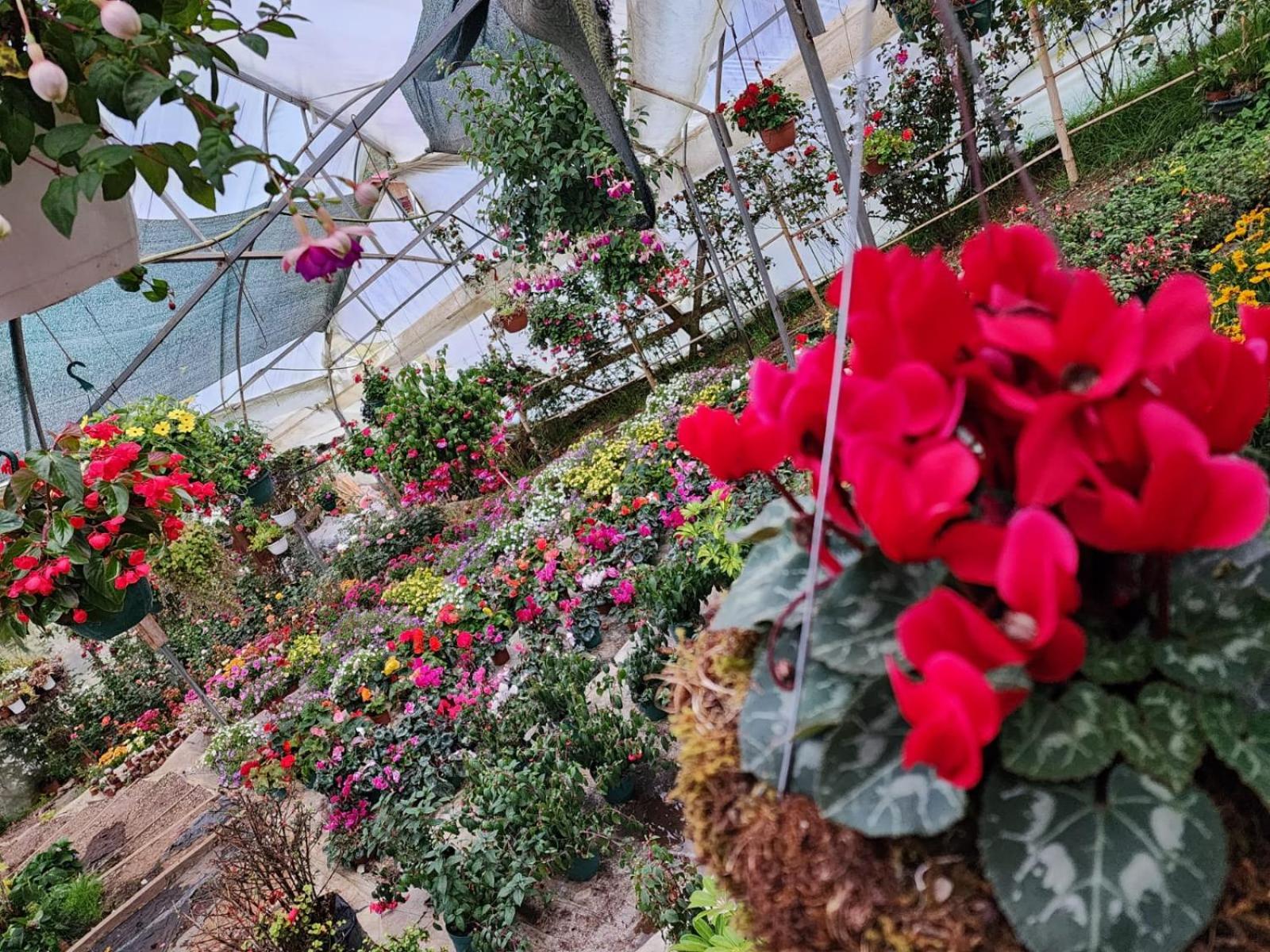 Cabaña el Faisán, Jardín de Dota