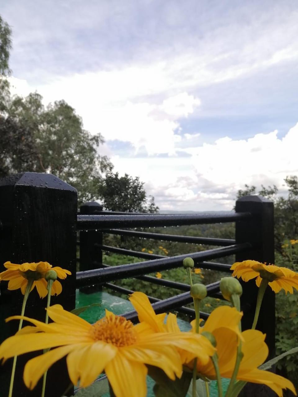 Windy Rich Bungalow Belihuloya