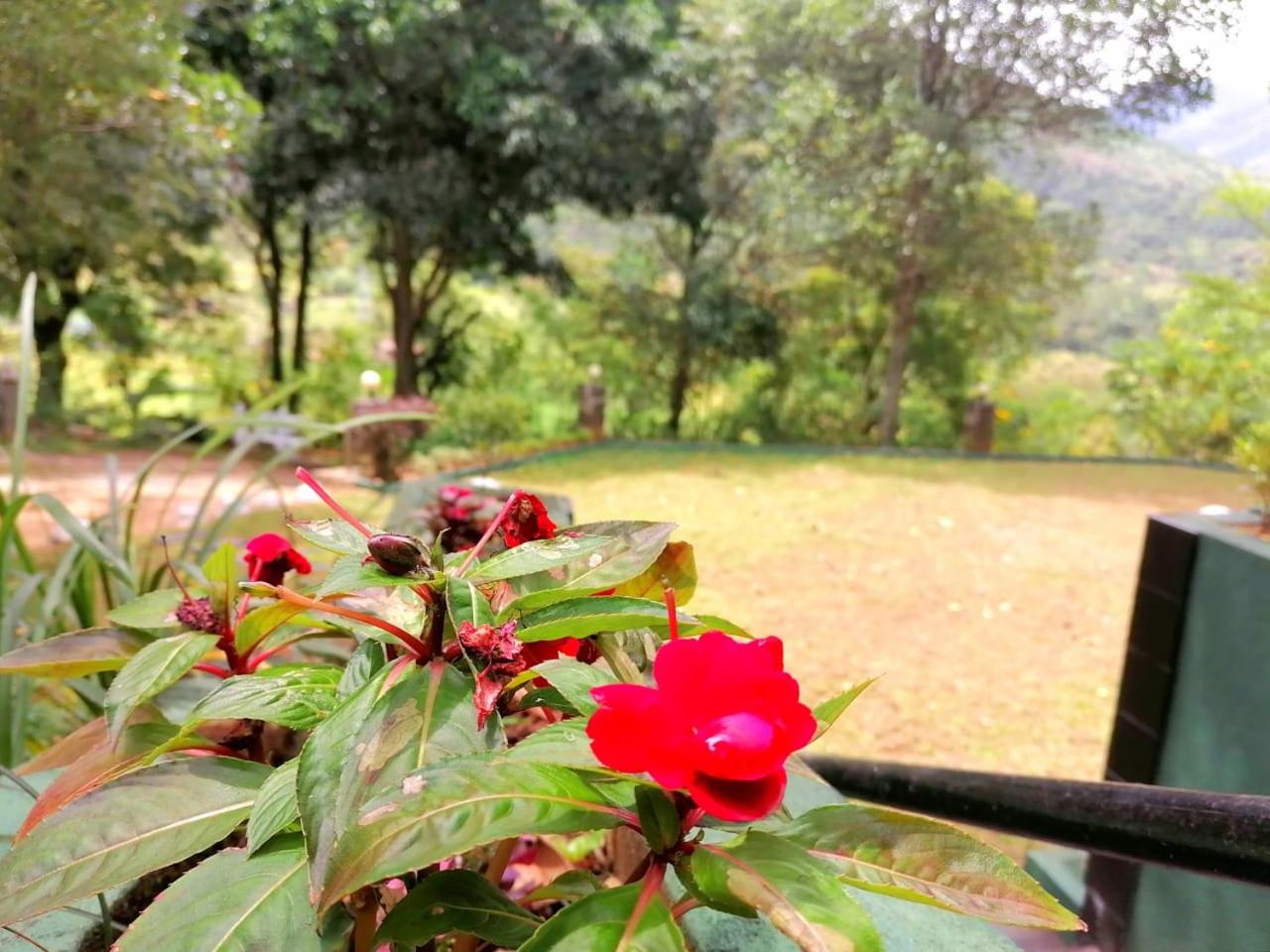 Windy Rich Bungalow Belihuloya