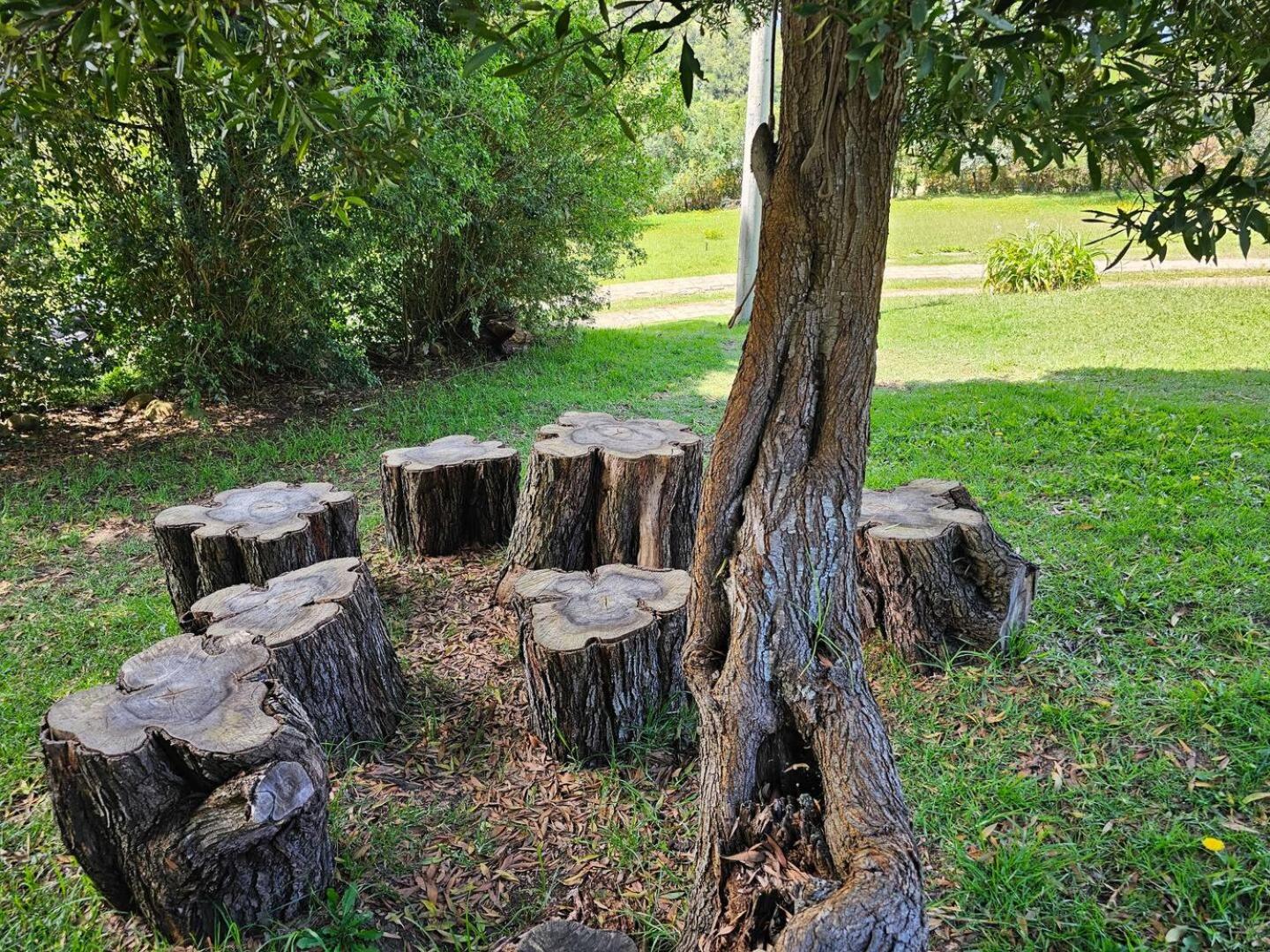 Rancho Nuevo - Ecoturismo - Cascadas la Periquera