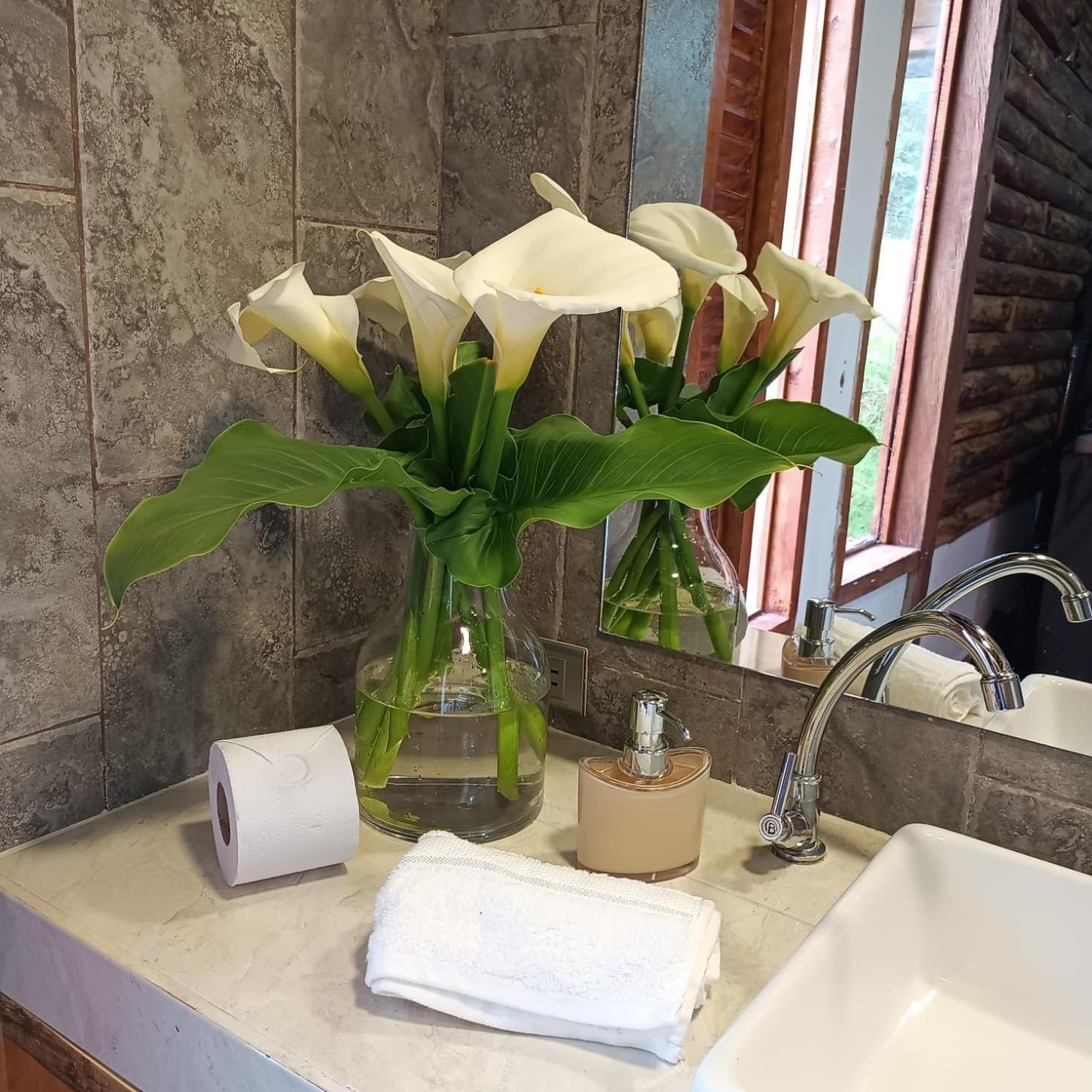 Chalet del lago Santa Elena