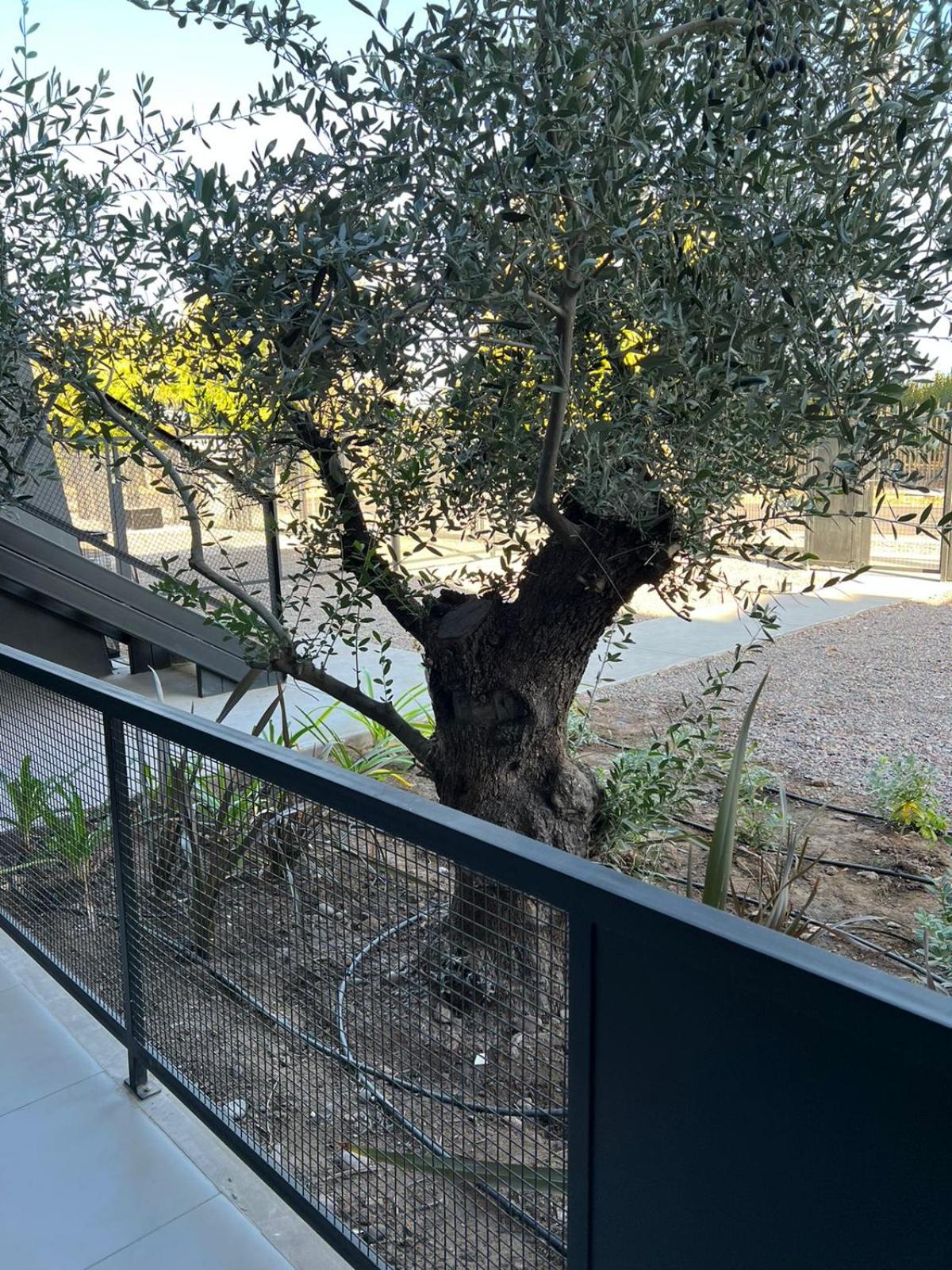 Depto del Bosque, 4 personas, patio, cochera cubierta ,parrilla