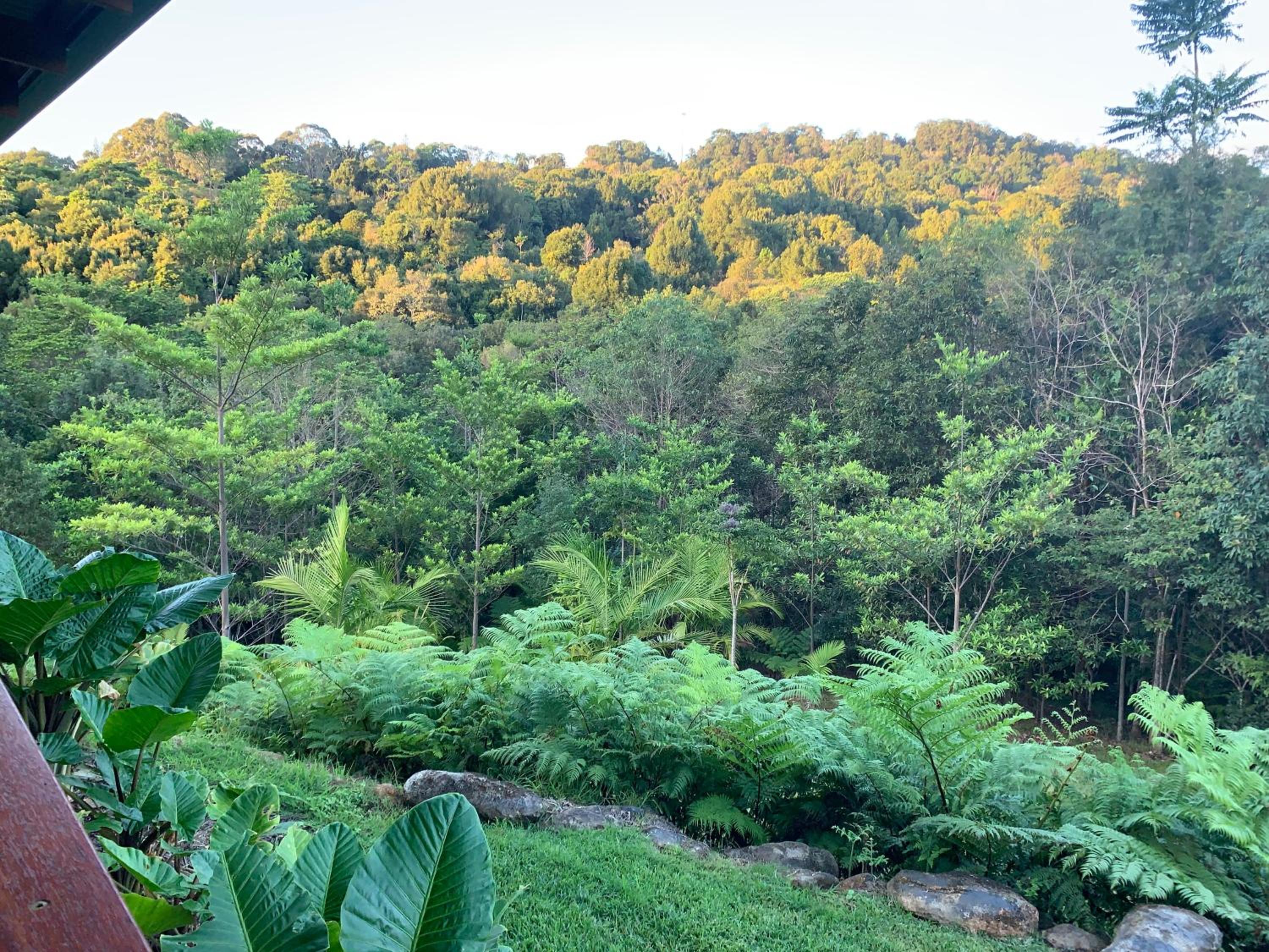 Waterfall Lodge