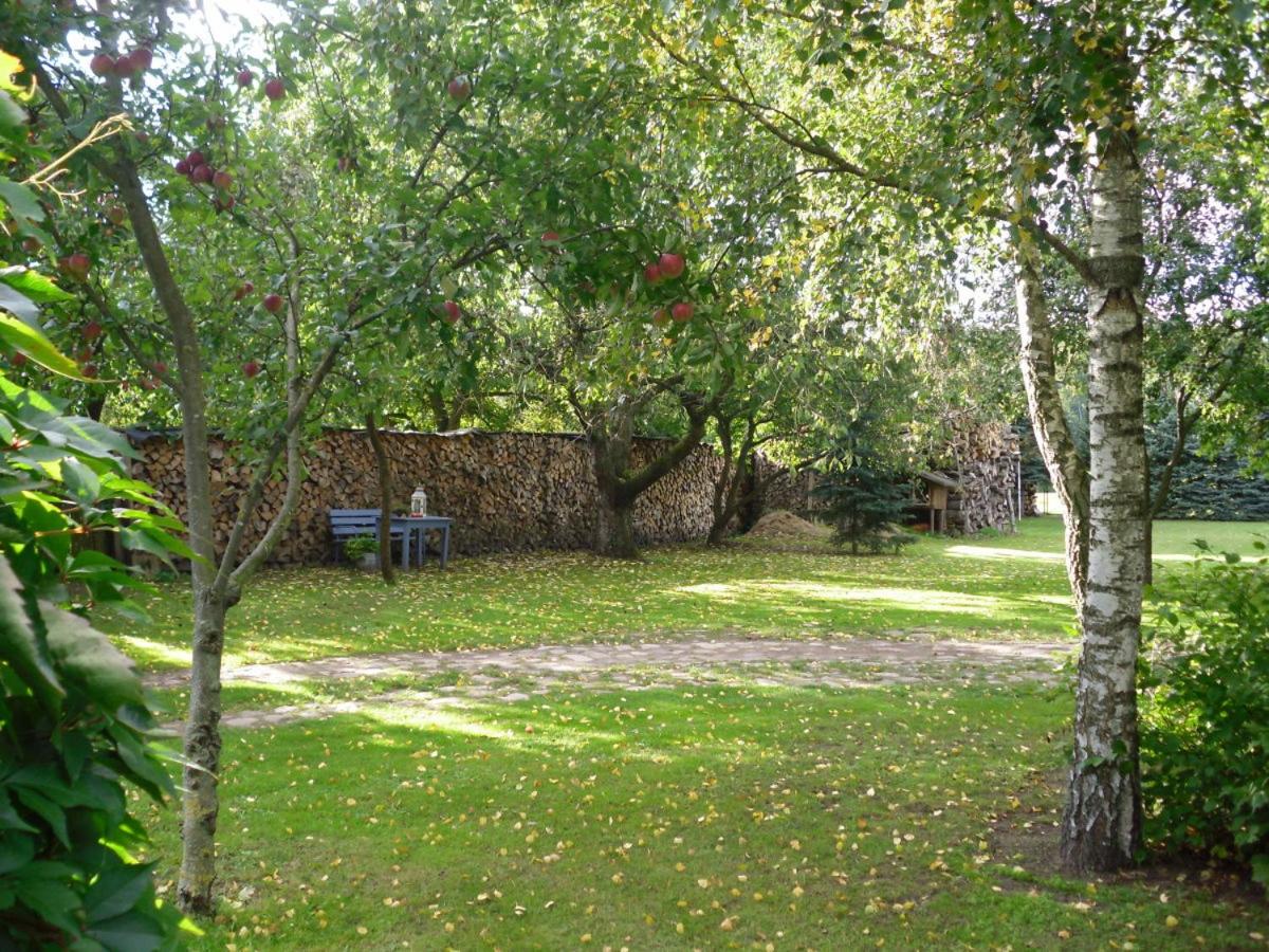 Wohnung mit Kamin und idyllischem Garten - Property Image 25