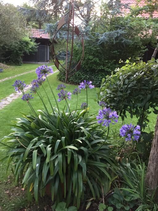 Wohnung mit Kamin und idyllischem Garten - Property Image 18