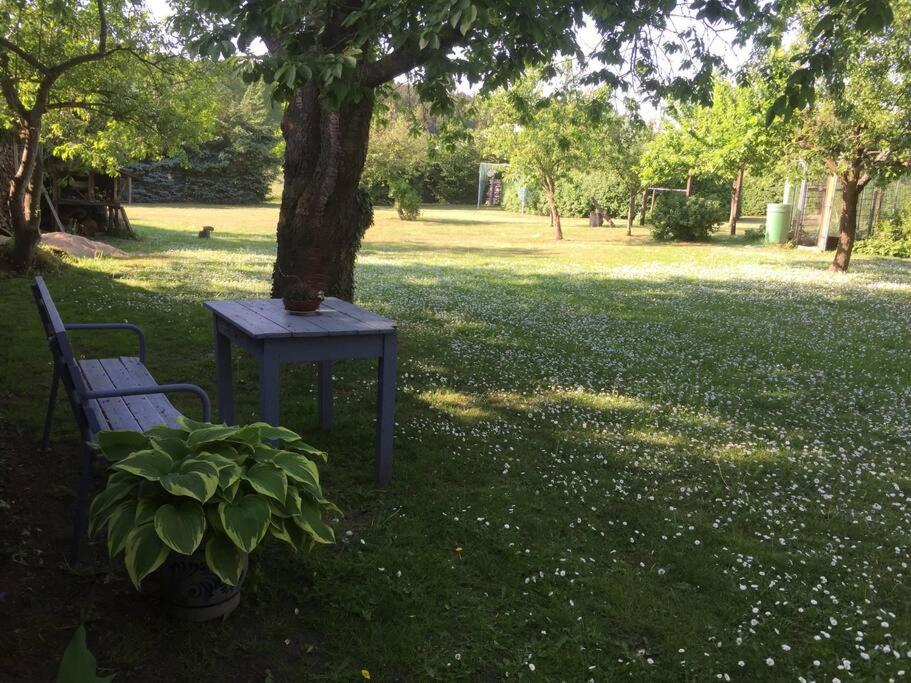 Wohnung mit Kamin und idyllischem Garten - Property Image 6