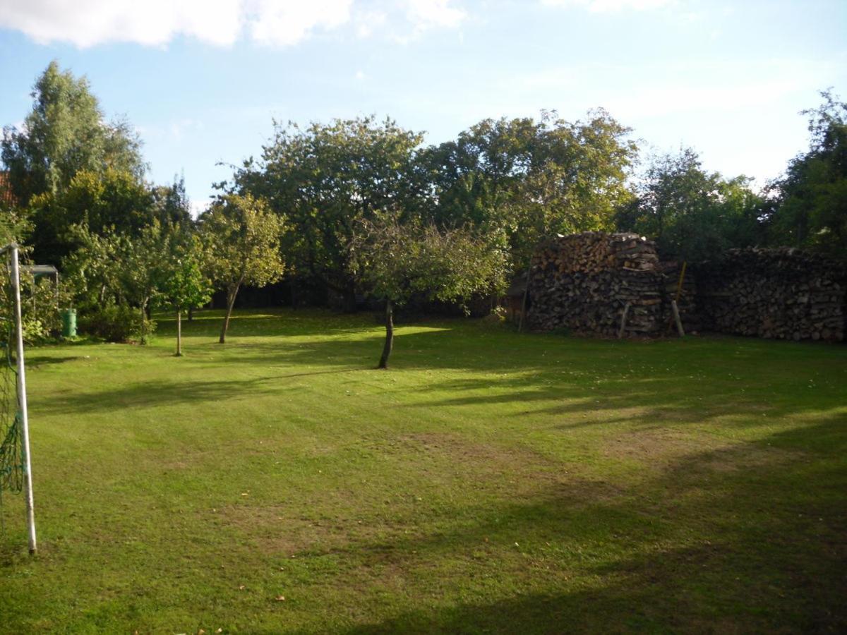 Wohnung mit Kamin und idyllischem Garten - Property Image 12