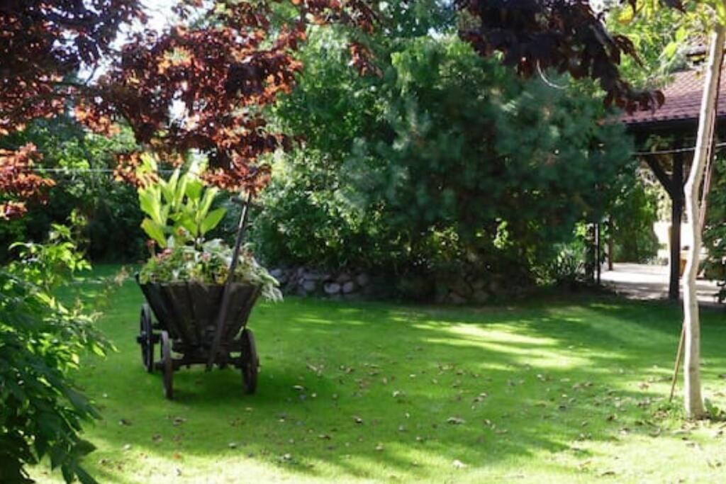 Wohnung mit Kamin und idyllischem Garten - Property Image 15