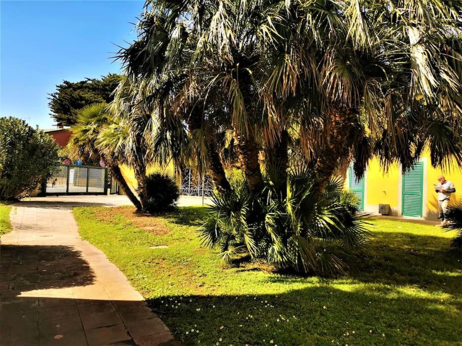 Casa al mare con giardino "Garden House", 2 km spiaggia golfo di Baratti & parco archeologico view 2