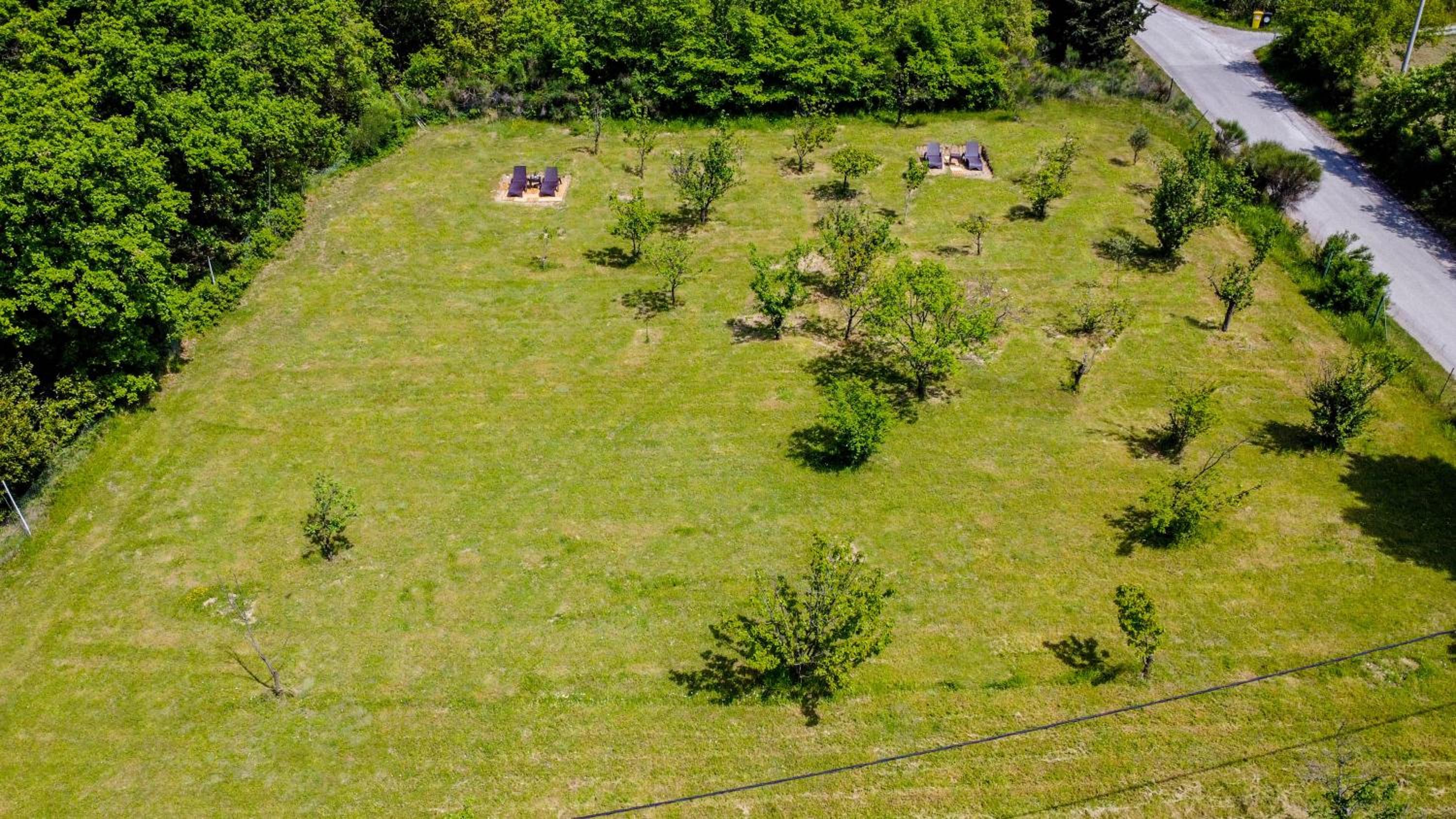 Active Chillax Oasis Apartments