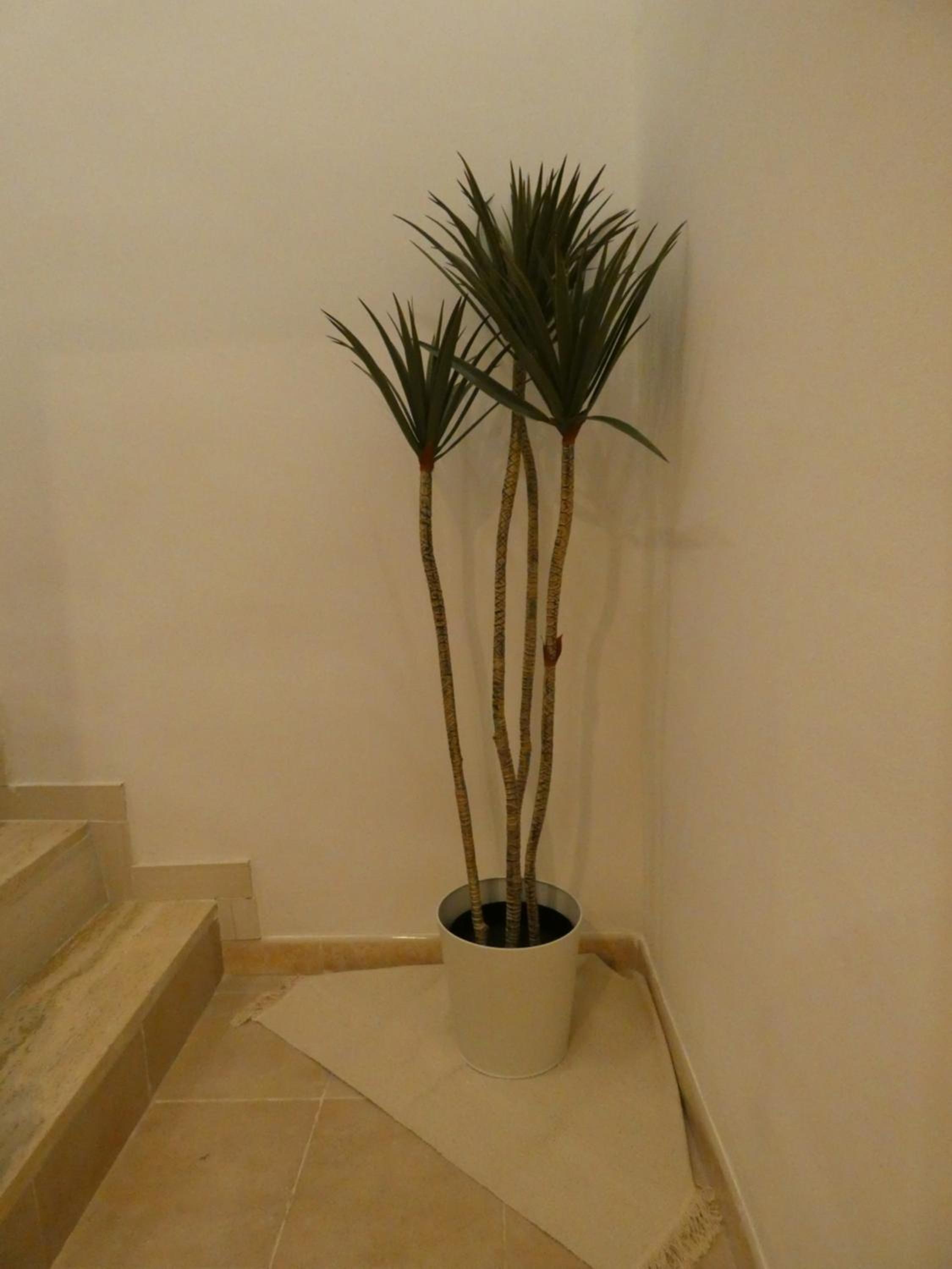 CASA SIMONETTA
