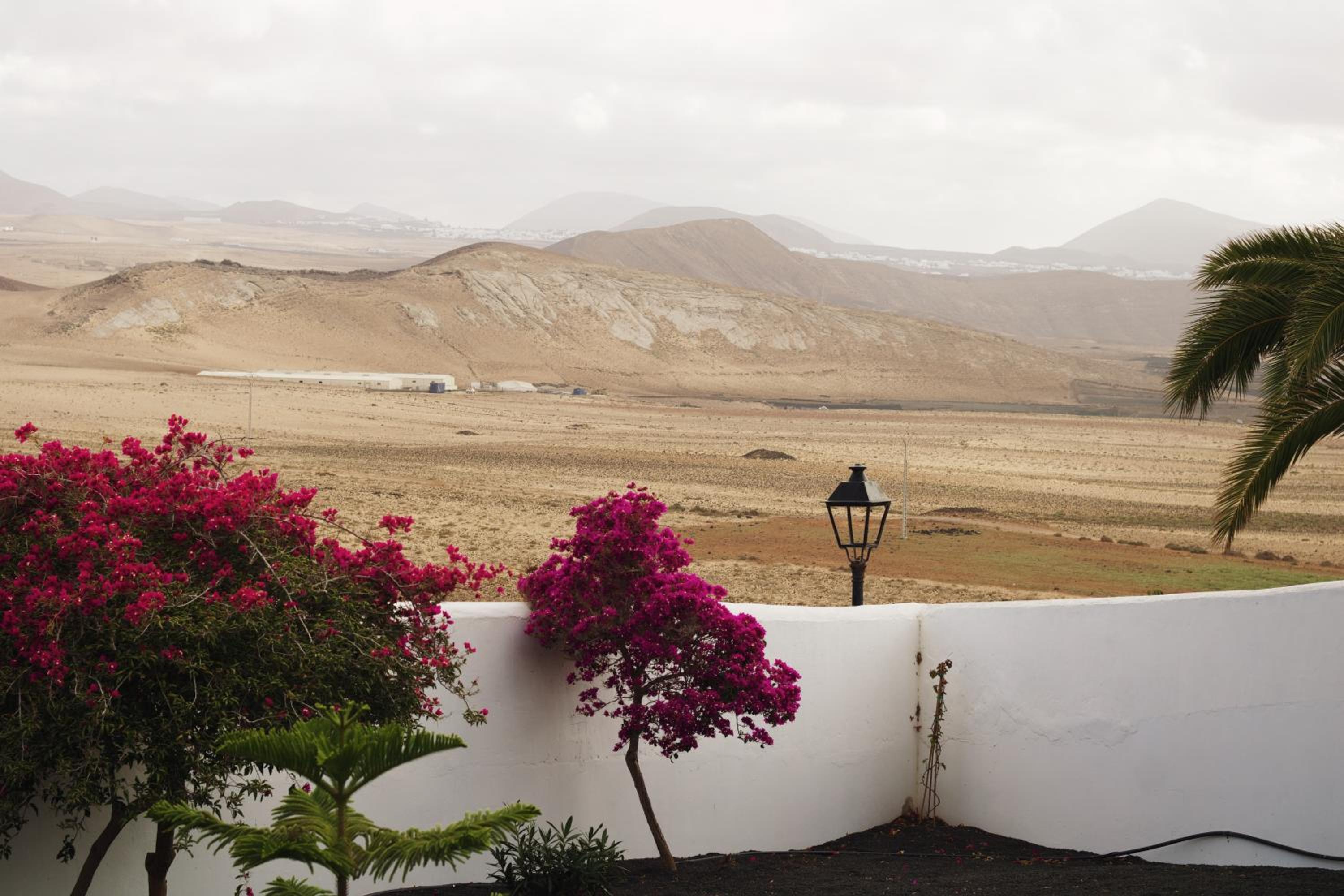Casa Soo